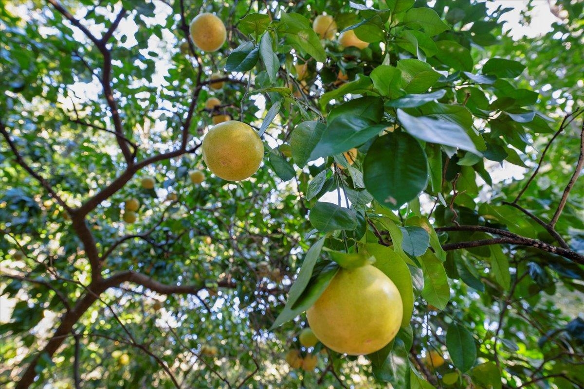 Image 33 of 42 For 3136 Country Creek Ln