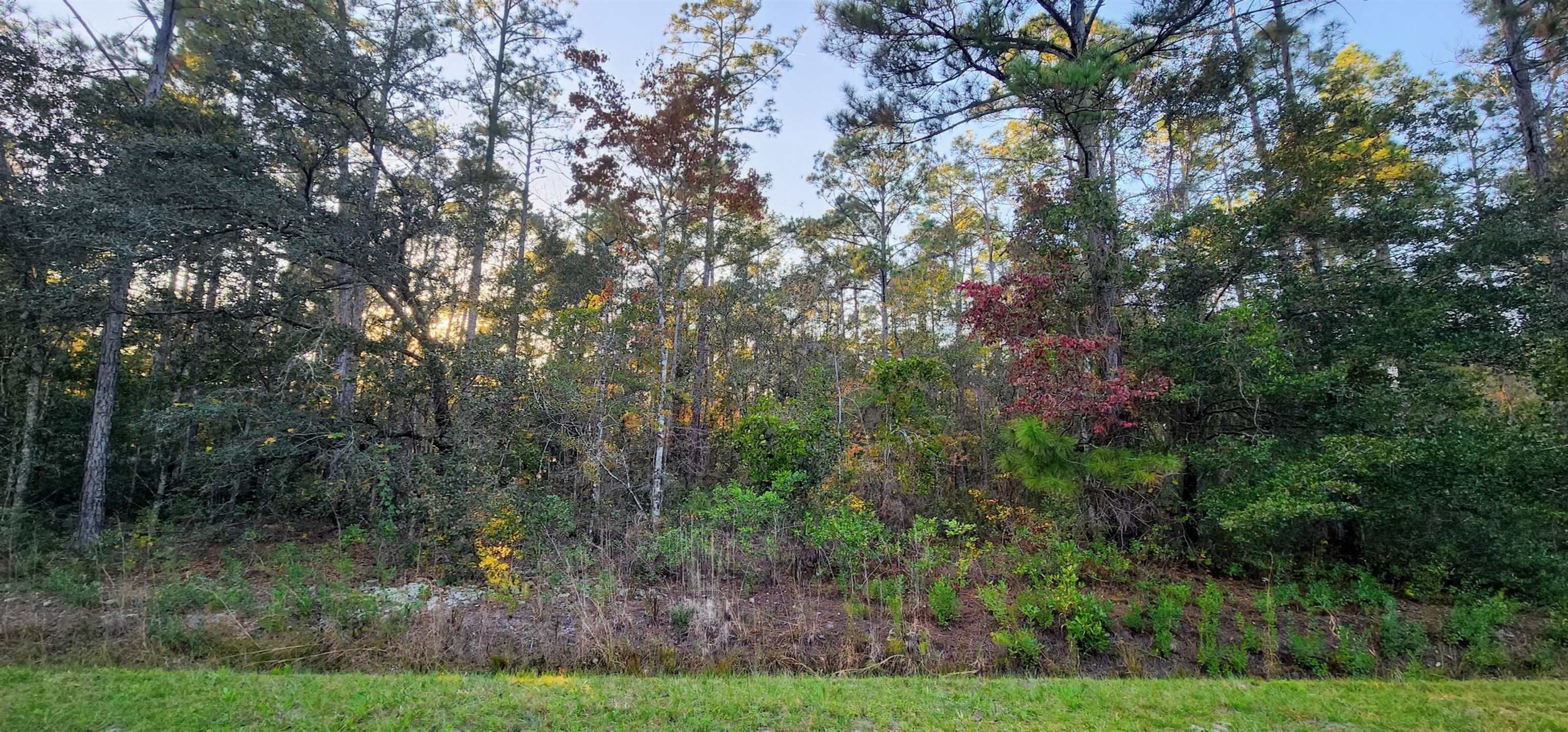 Listing Details for 10165 Hennessey Ave, Hastings, FL 32145