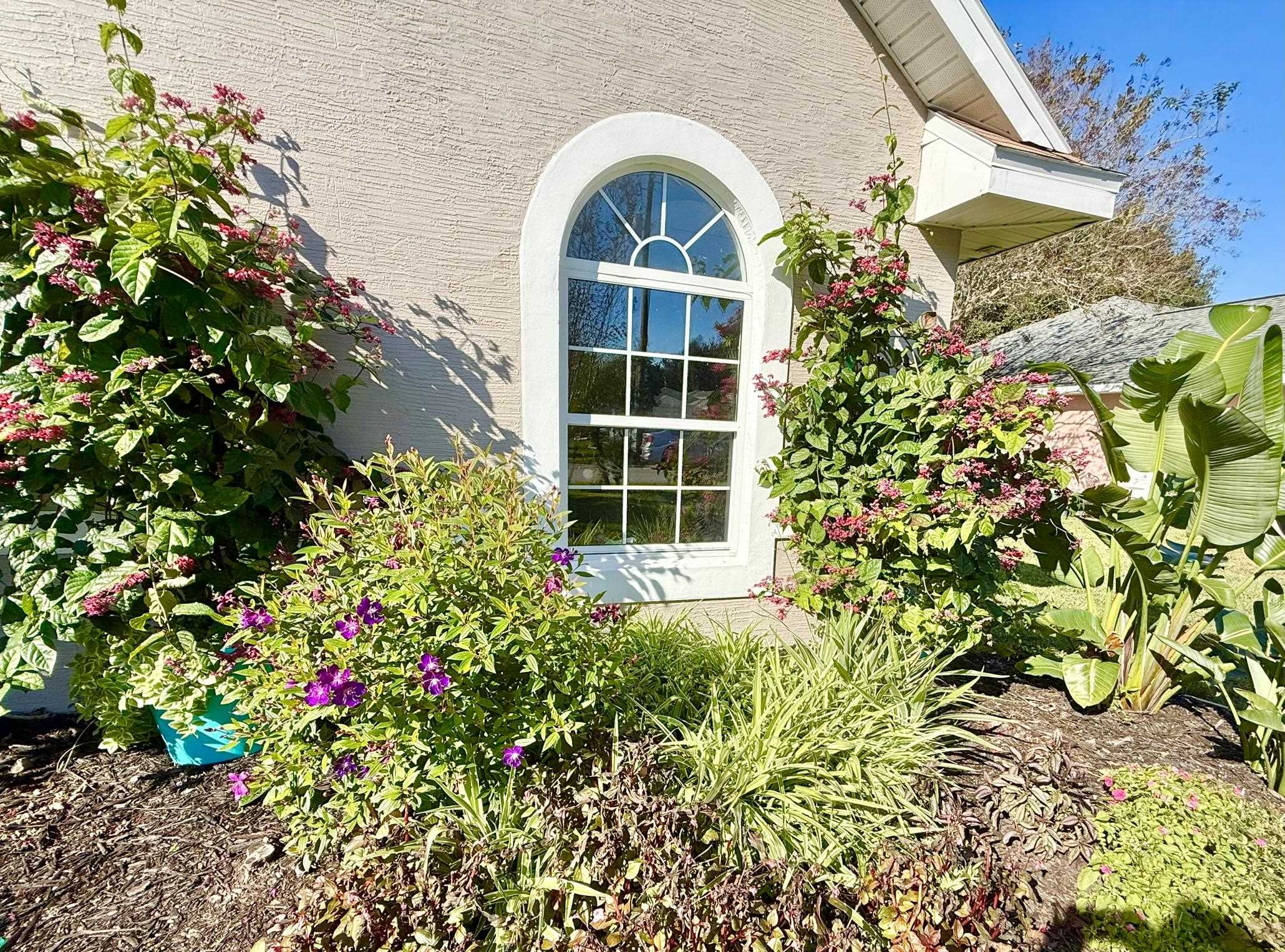 Image 6 of 61 For 209 Saranac Ln