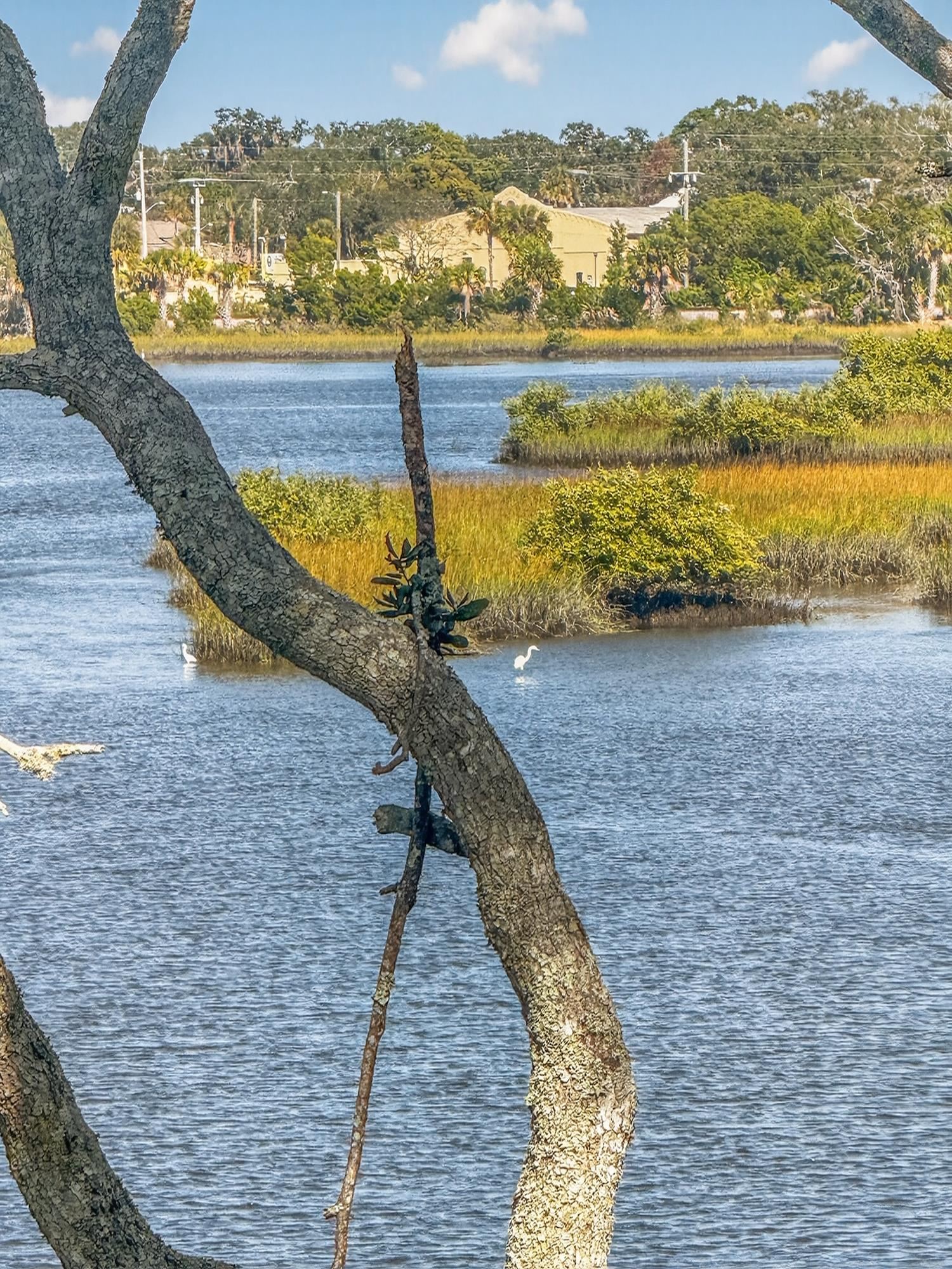 Image 40 of 60 For 3323 Haley Pointe Rd