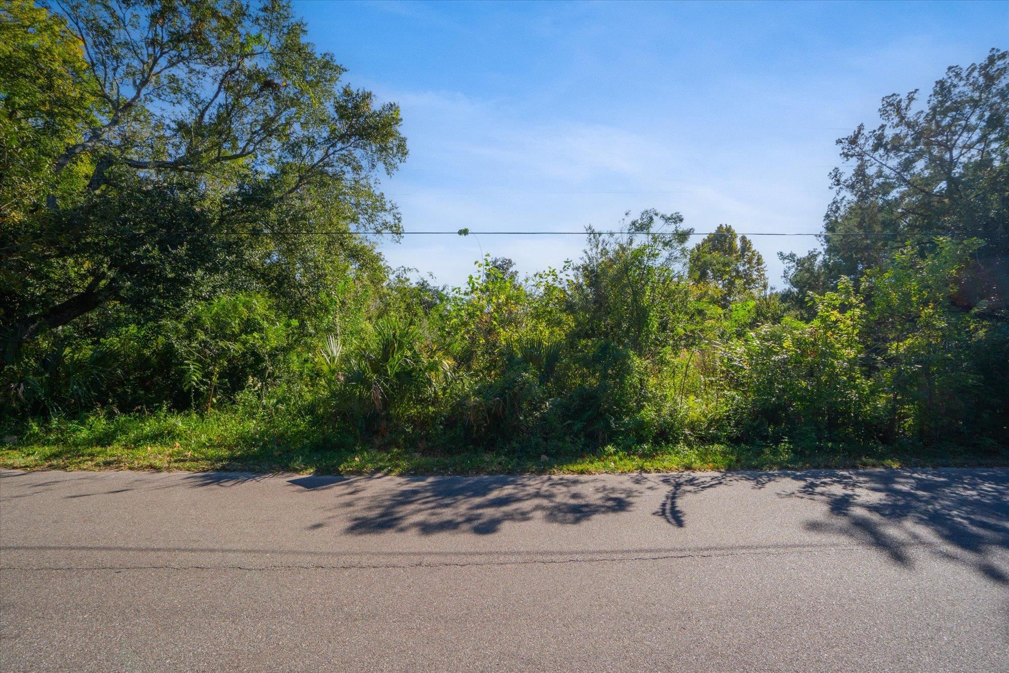 Image 37 of 38 For 600 Alexander St