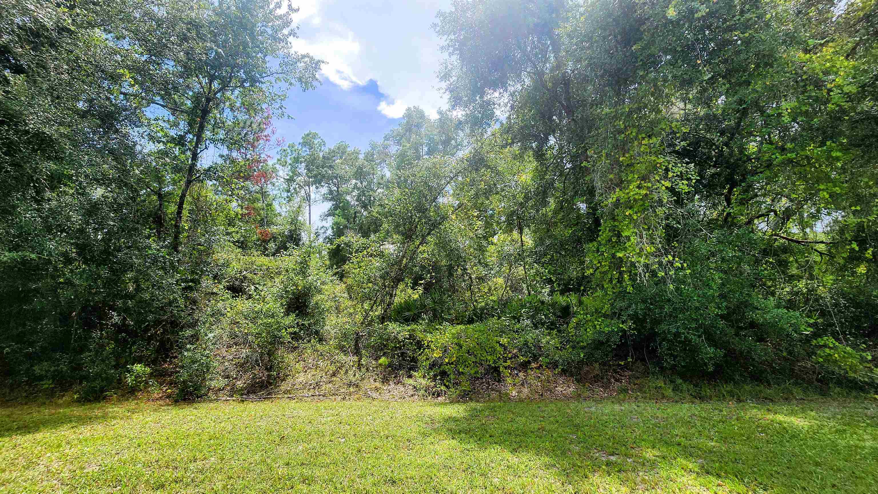 Details for Georgetown Point Rd S, Georgetown, FL 32139