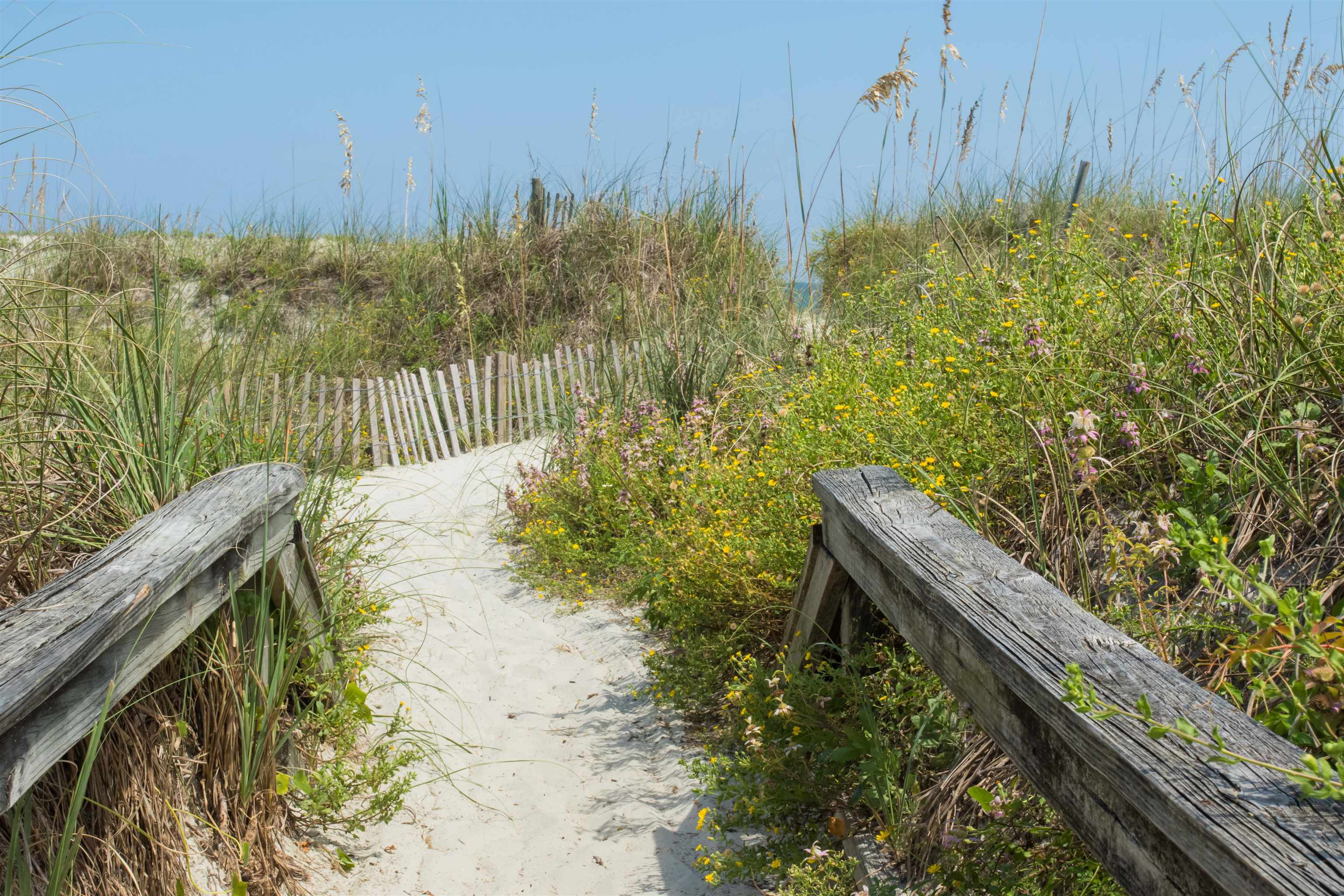 Image 57 of 61 For 6779 Magnolia Ln