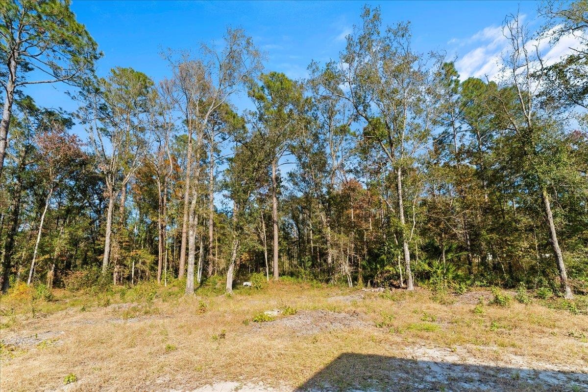 Image 29 of 34 For 4740 Ursula St