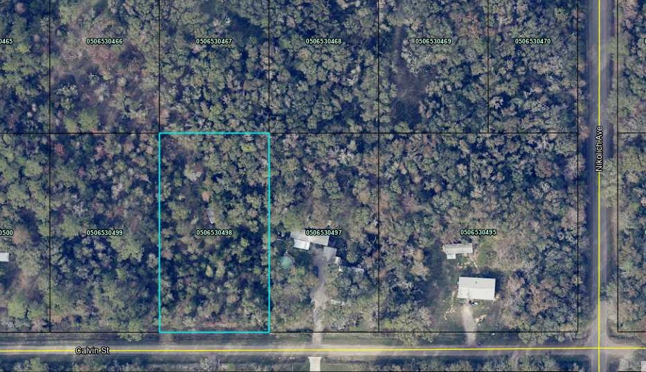 Listing Details for 4730 Calvin St, Hastings, FL 32145