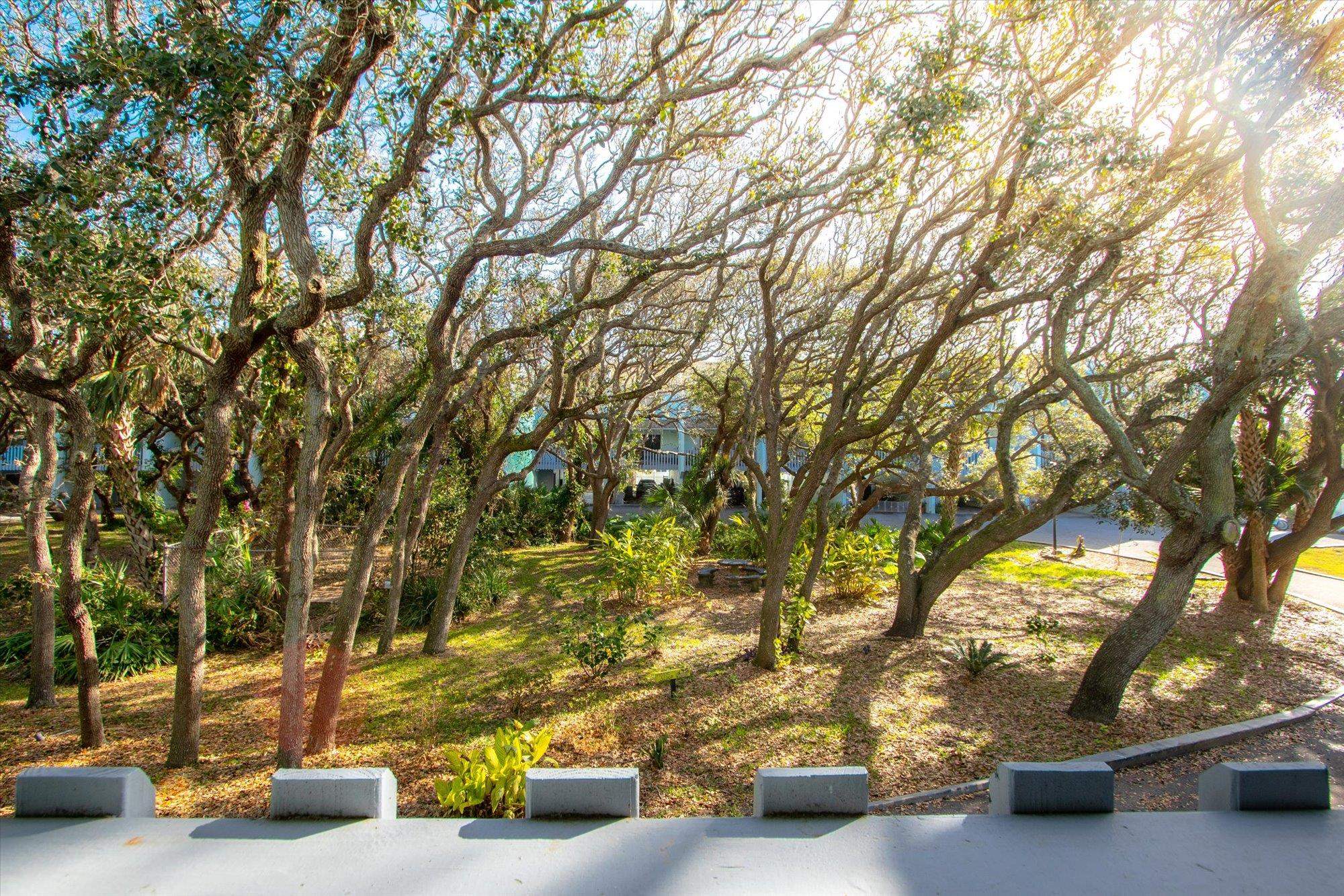 Image 4 of 51 For 3145 Coastal Hwy  1128