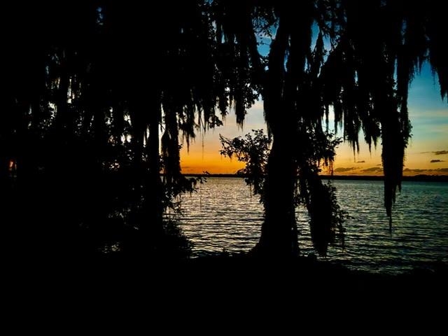 Image 87 of 87 For 123 Esperanza Grove Rd