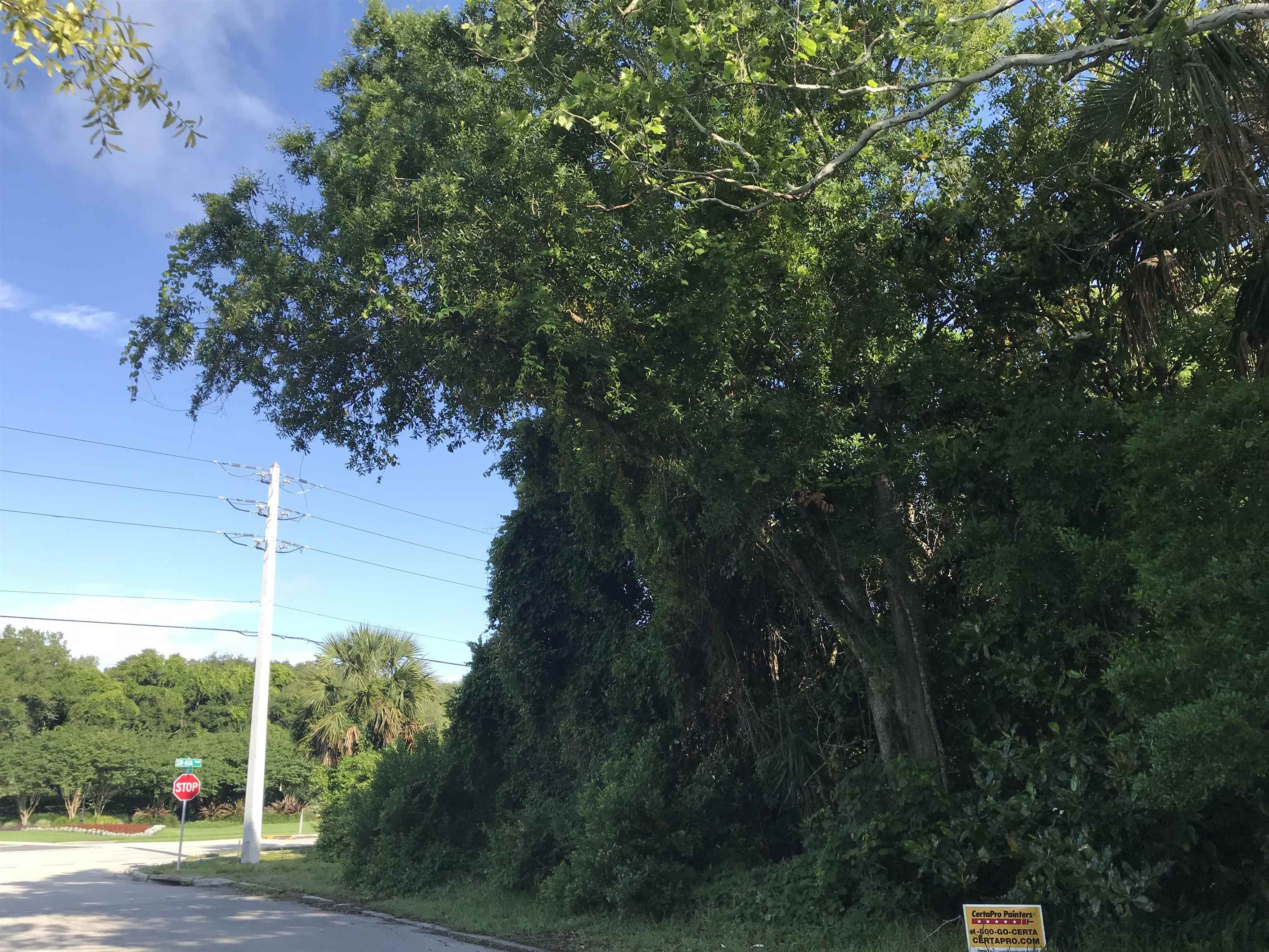 Image 11 of 11 For Madrid St Lot 2