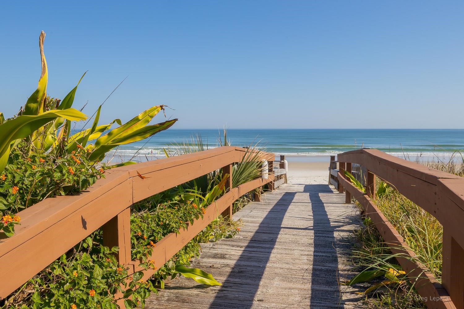 Image 30 of 57 For 8130 A1a S H18