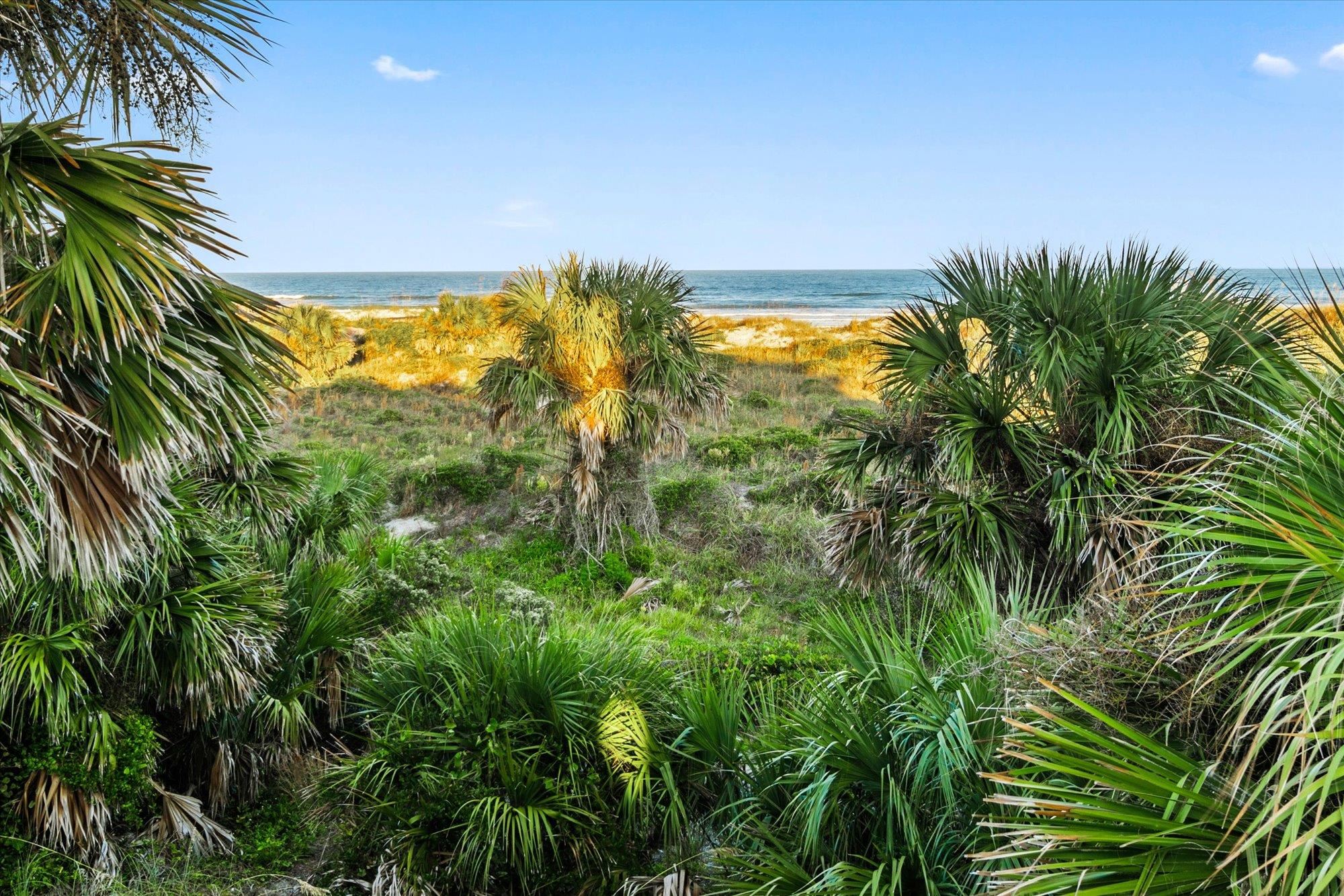 Image 55 of 72 For 5042 Atlantic Vw