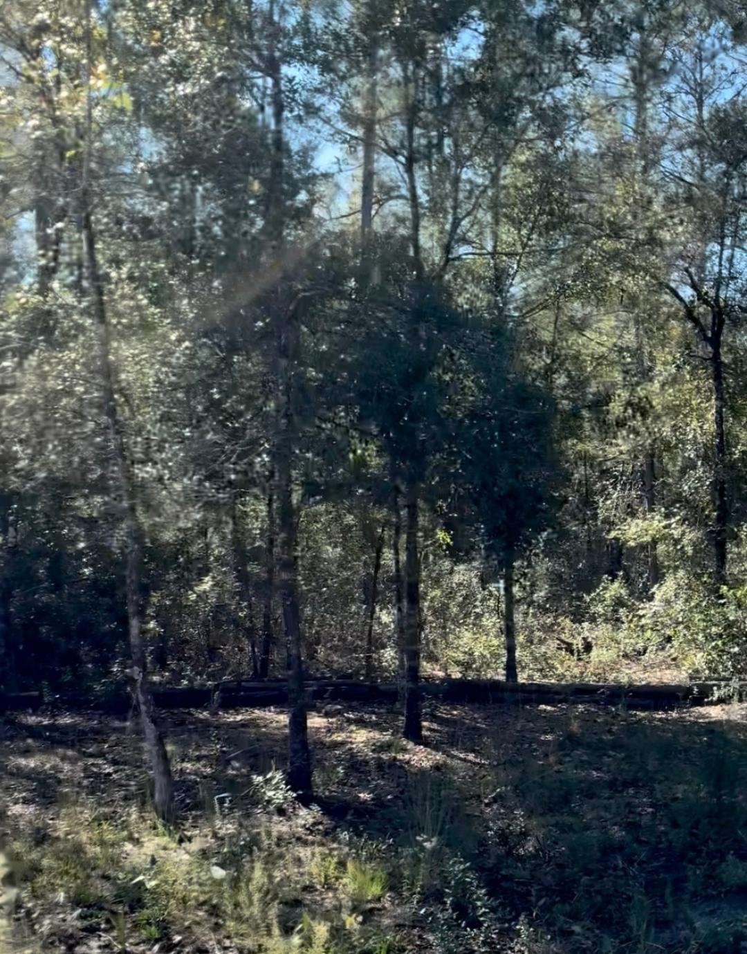 Image 10 of 21 For 10345 Nikolich Ave