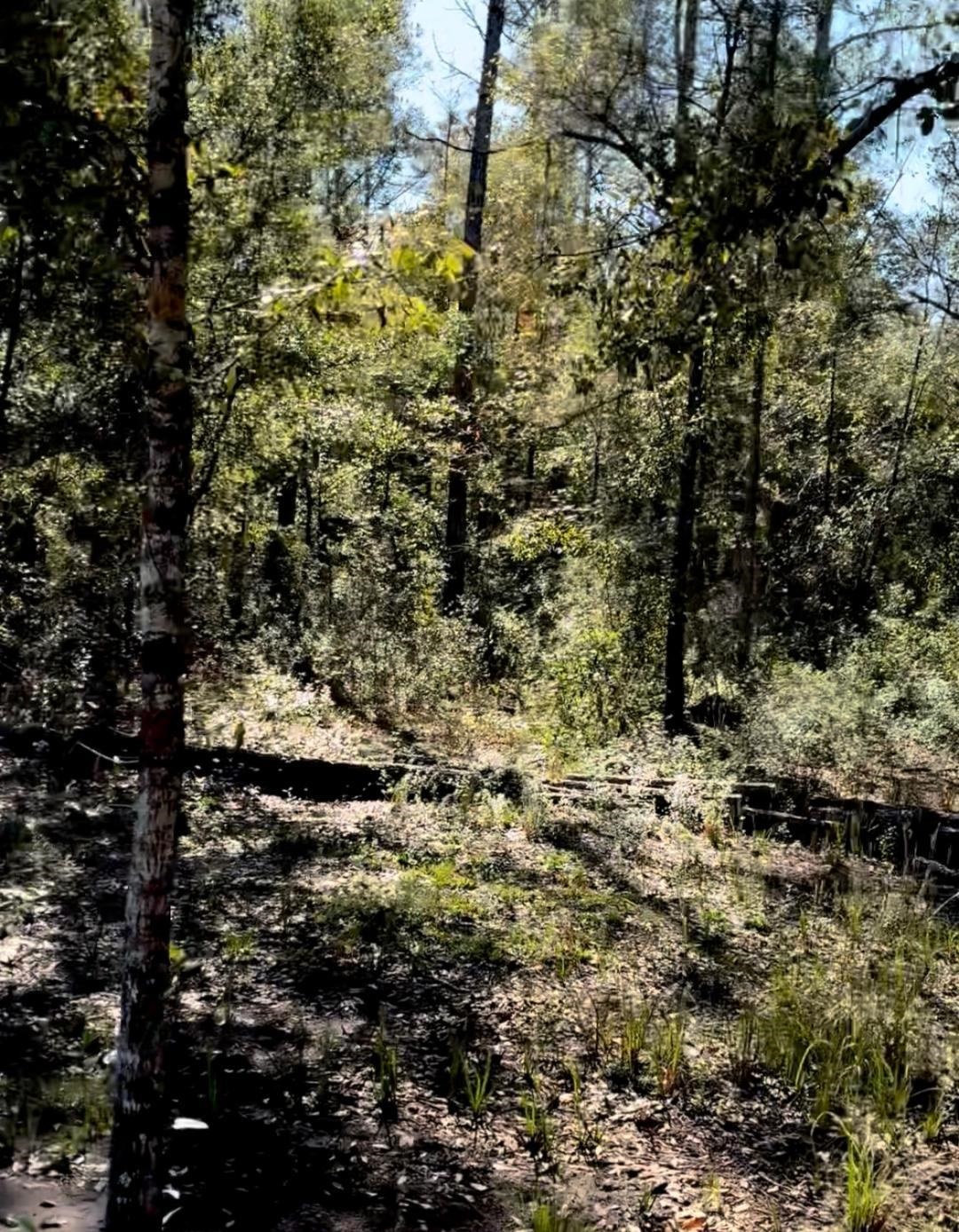 Image 11 of 21 For 10345 Nikolich Ave