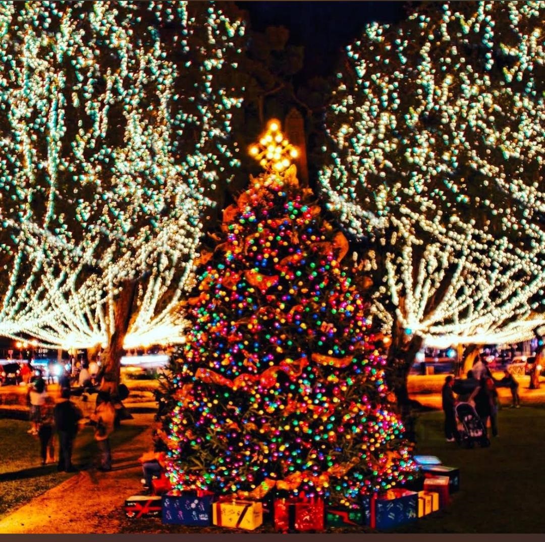 Image 21 of 21 For 10345 Nikolich Ave