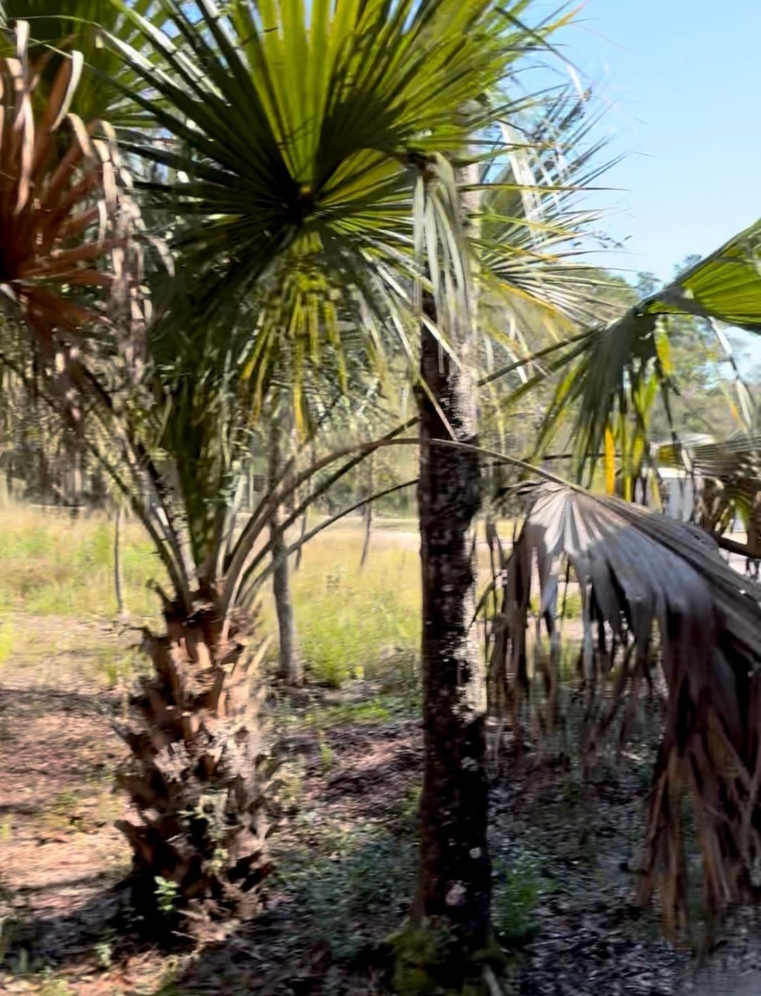 Image 5 of 21 For 10345 Nikolich Ave