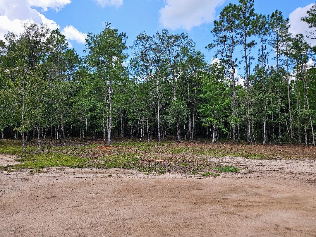 Image 6 of 21 For 10345 Nikolich Ave