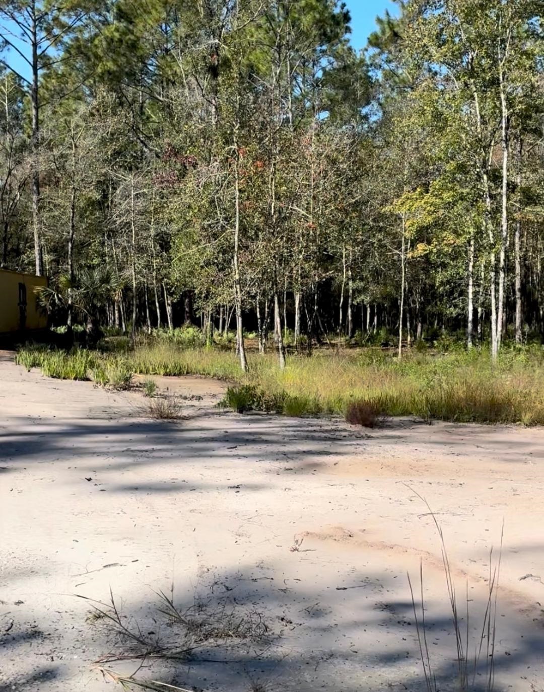 Image 7 of 21 For 10345 Nikolich Ave