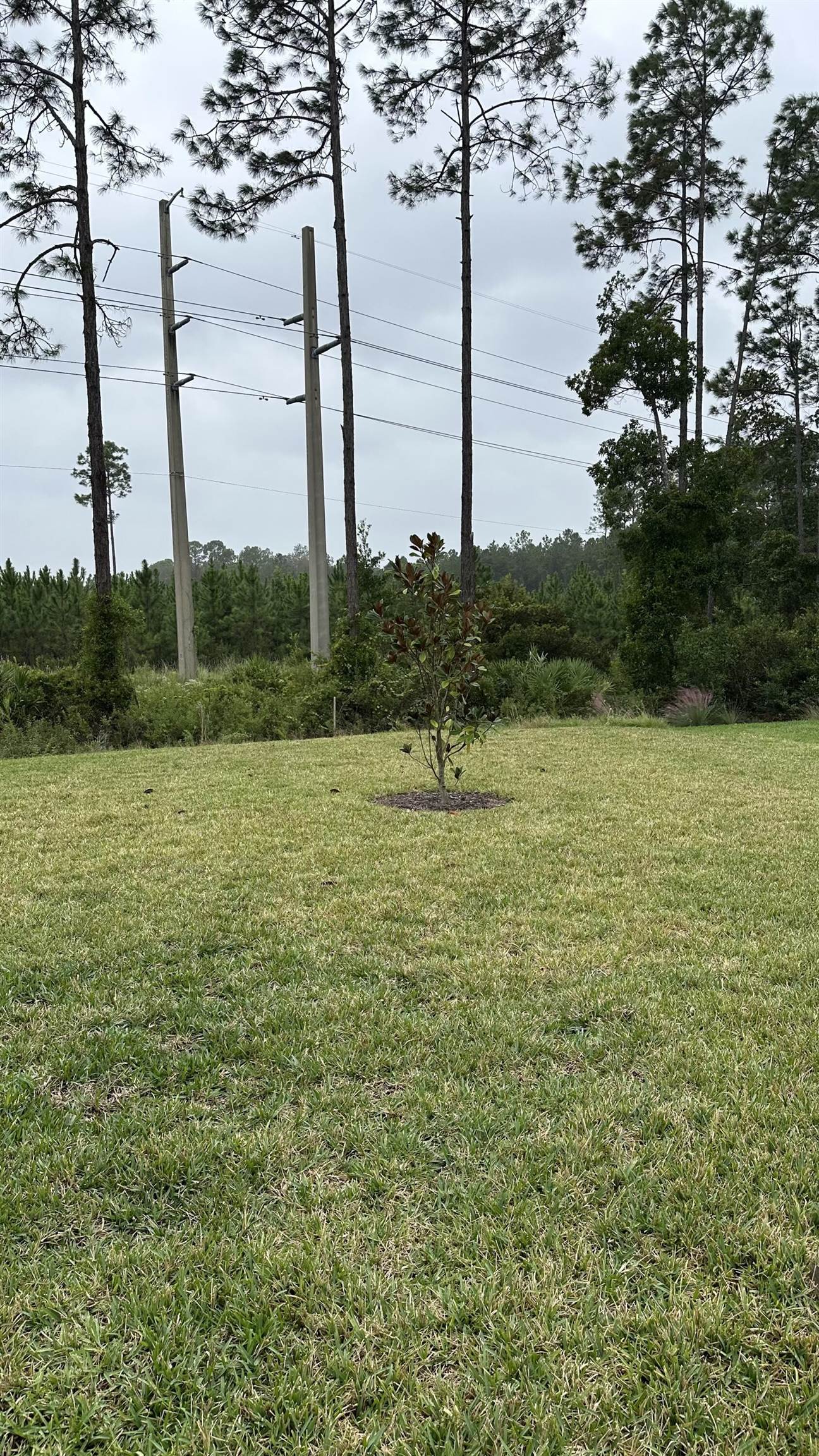 Image 20 of 34 For 48 Quiet Wharf Dr