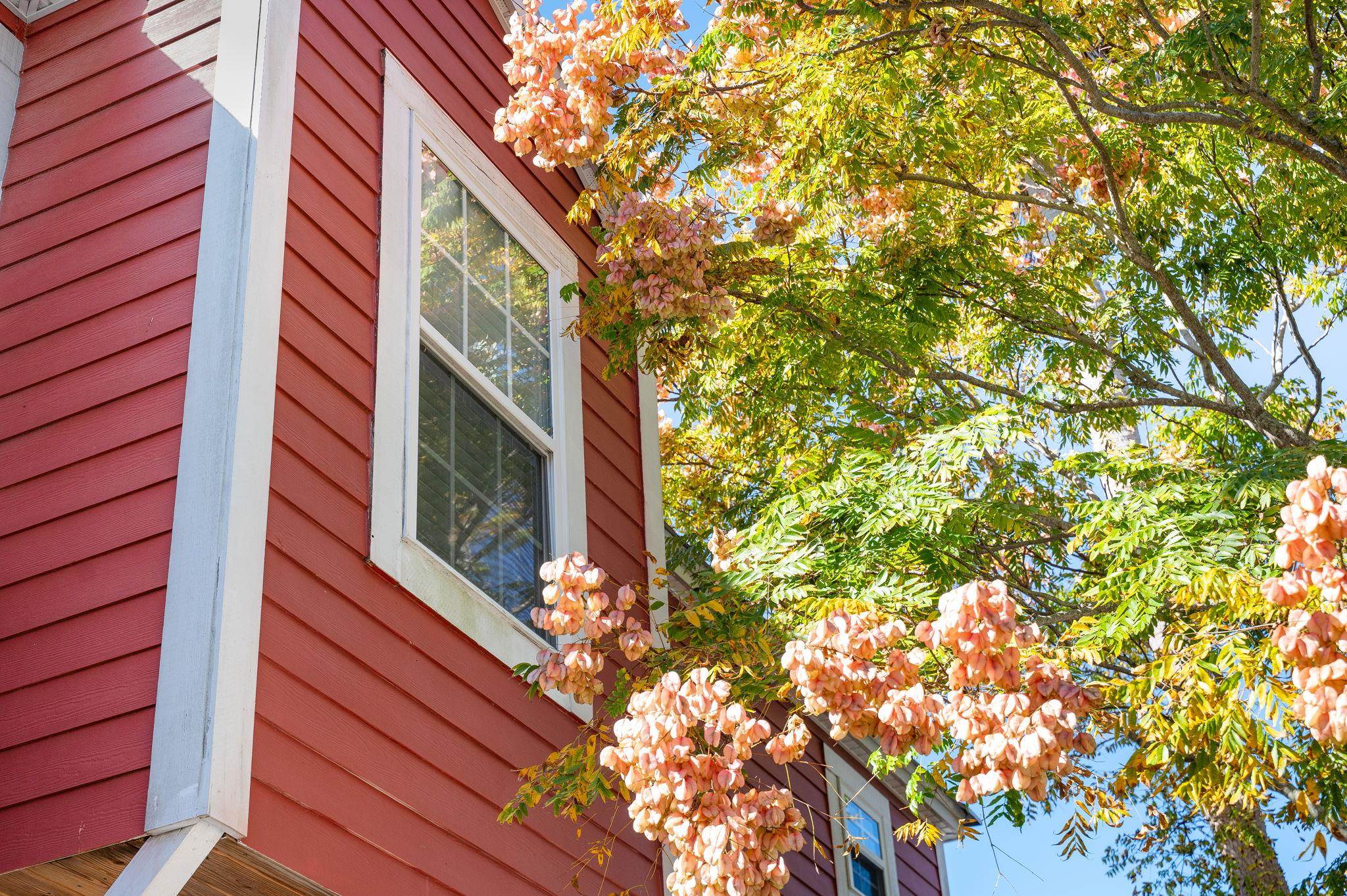 Image 3 of 87 For 152 Martin Luther King Ave  A