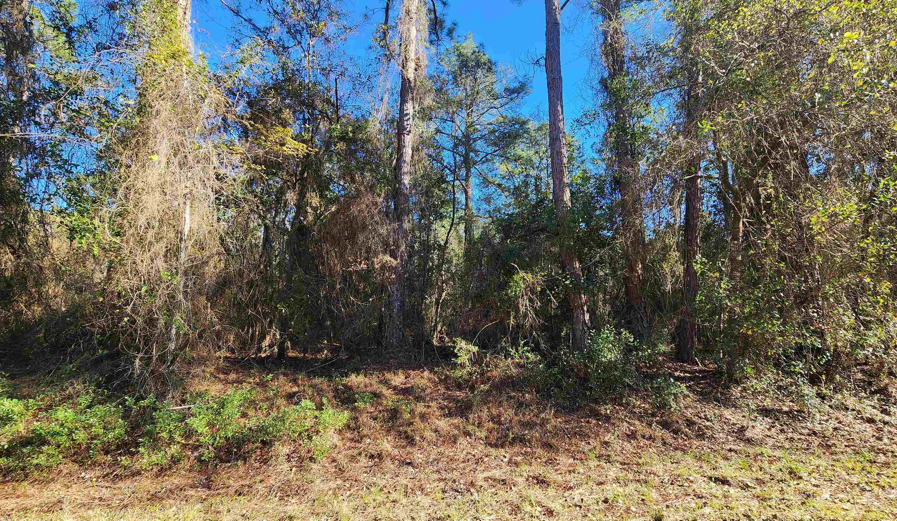 Details for 131 Georgetown Denver Rd, Georgetown, FL 32139