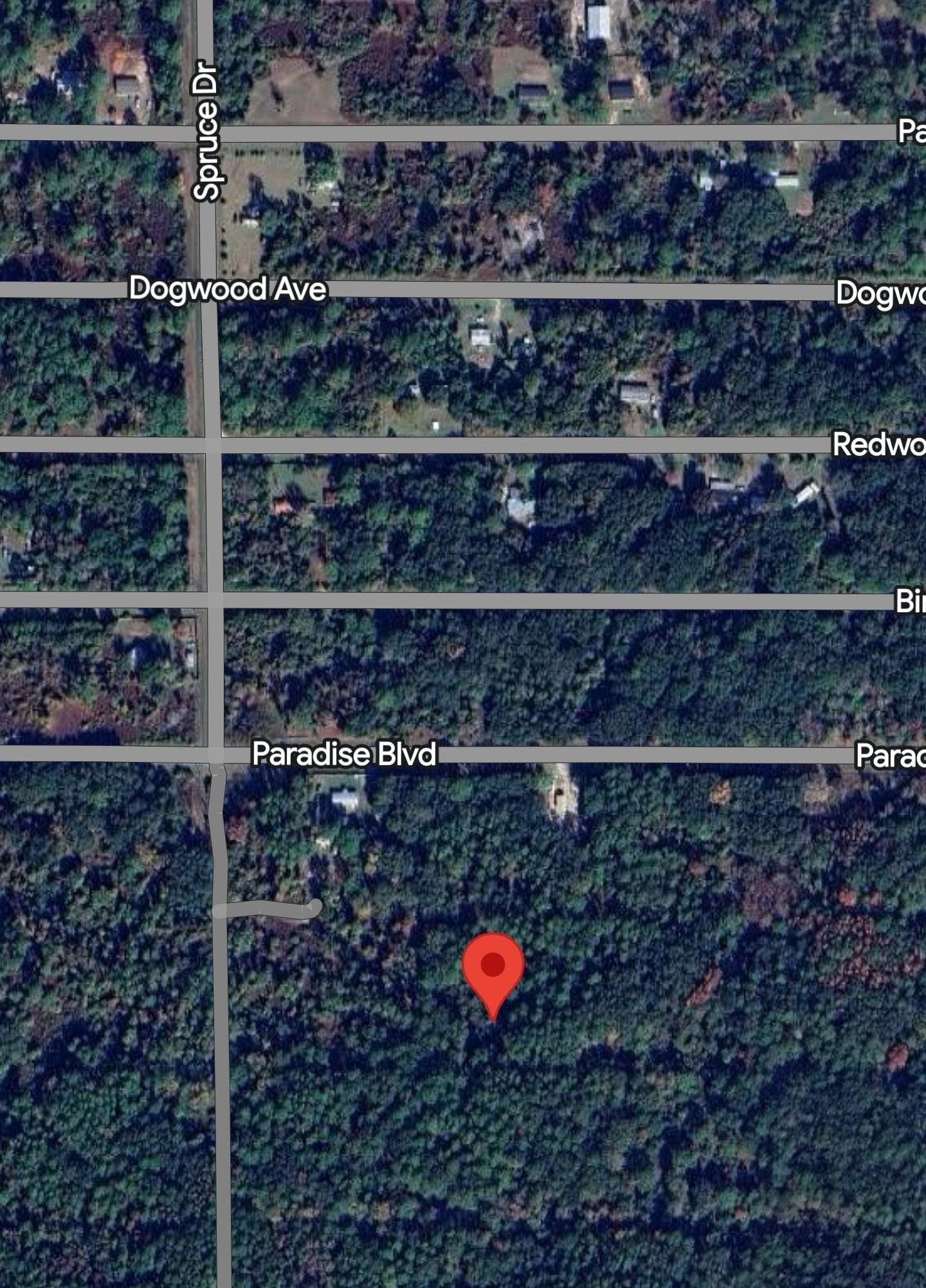 Details for 312 Laisy Dr, Georgetown, FL 32139