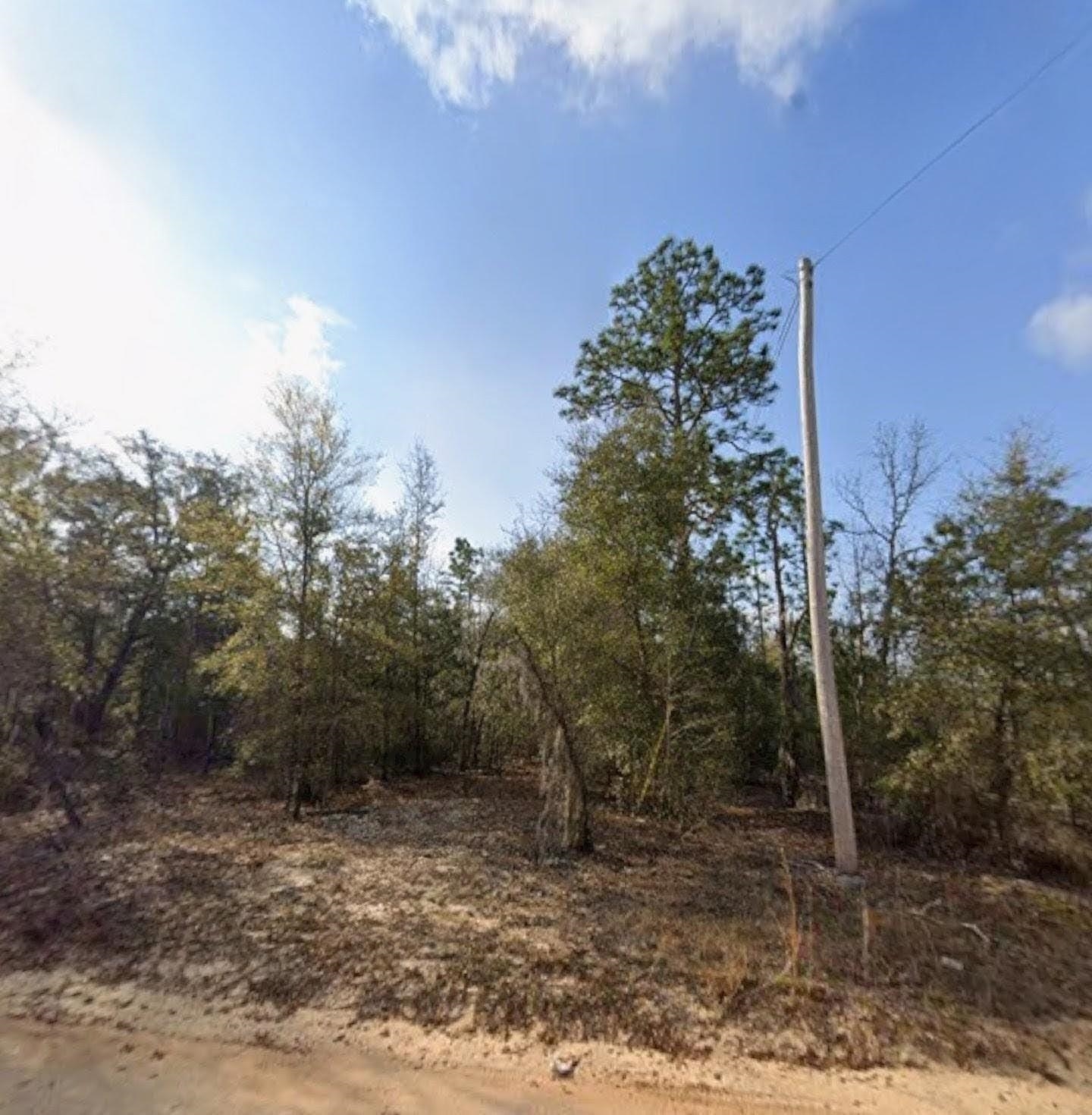 Listing Details for Tbd 3rd Ave S, Interlachen, FL 32148