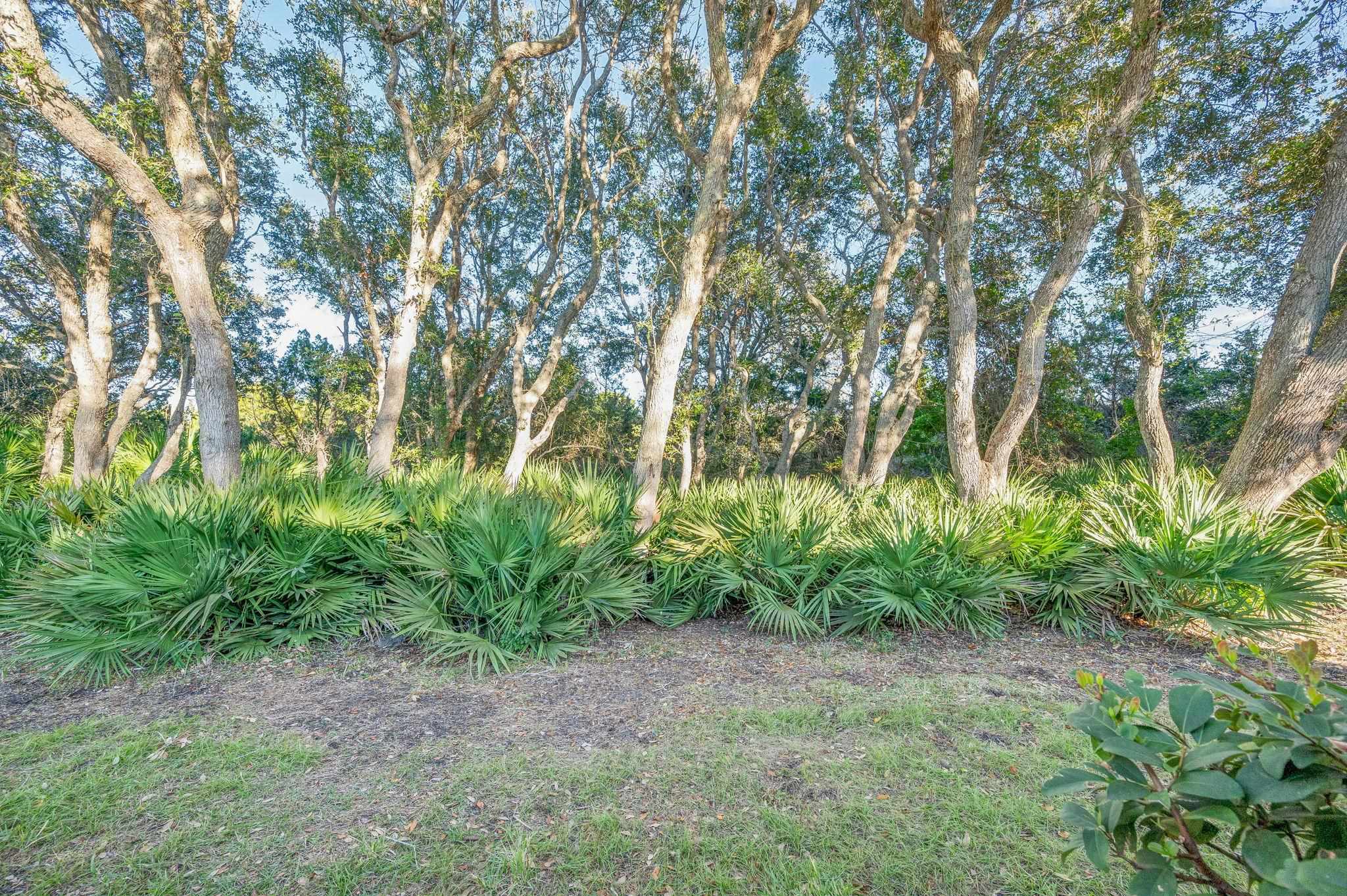 Image 40 of 44 For 284 San Nicolas Way