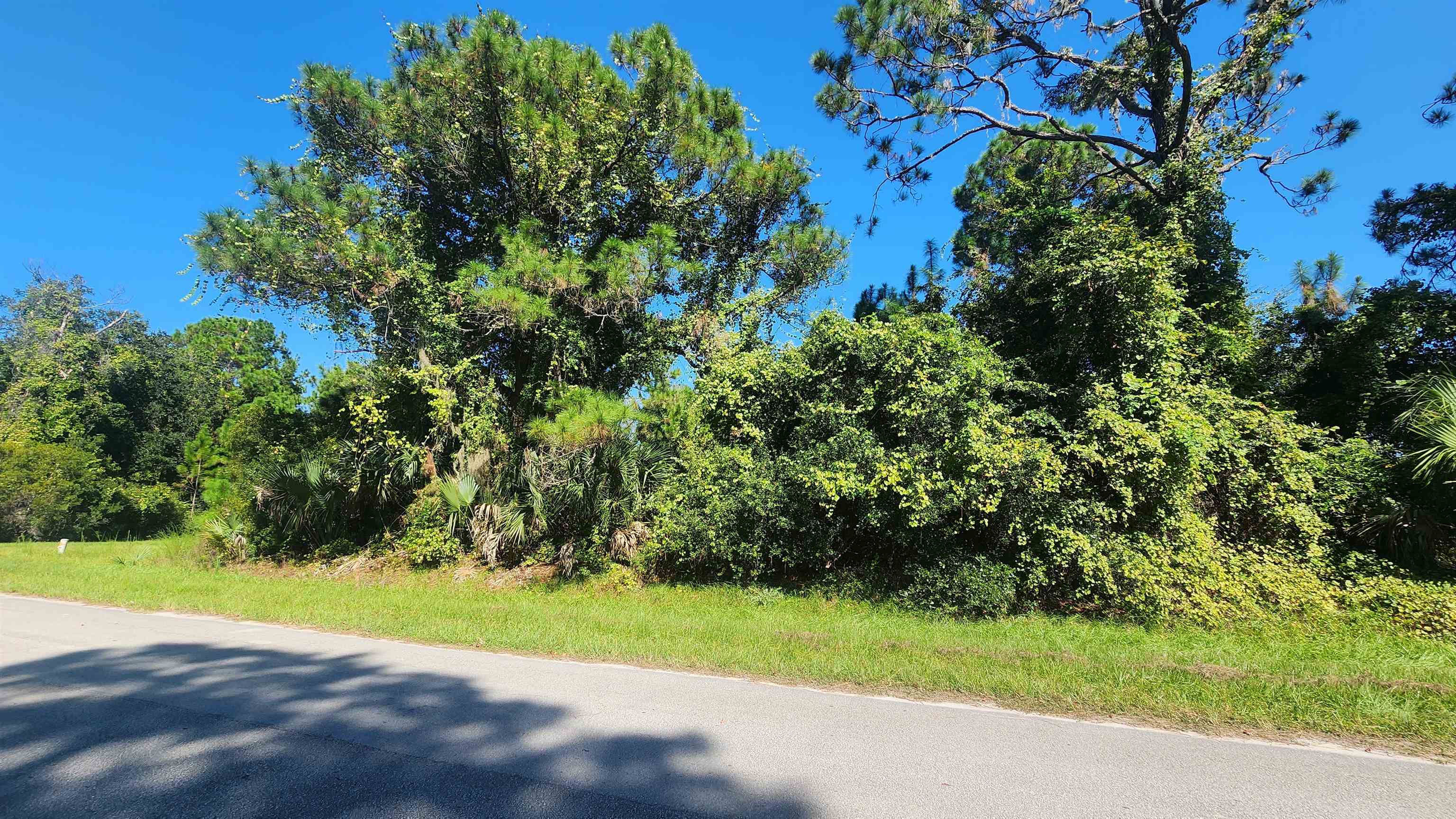 Details for Tbd Palm Way And Gardenia Ave, Georgetown, FL 32139