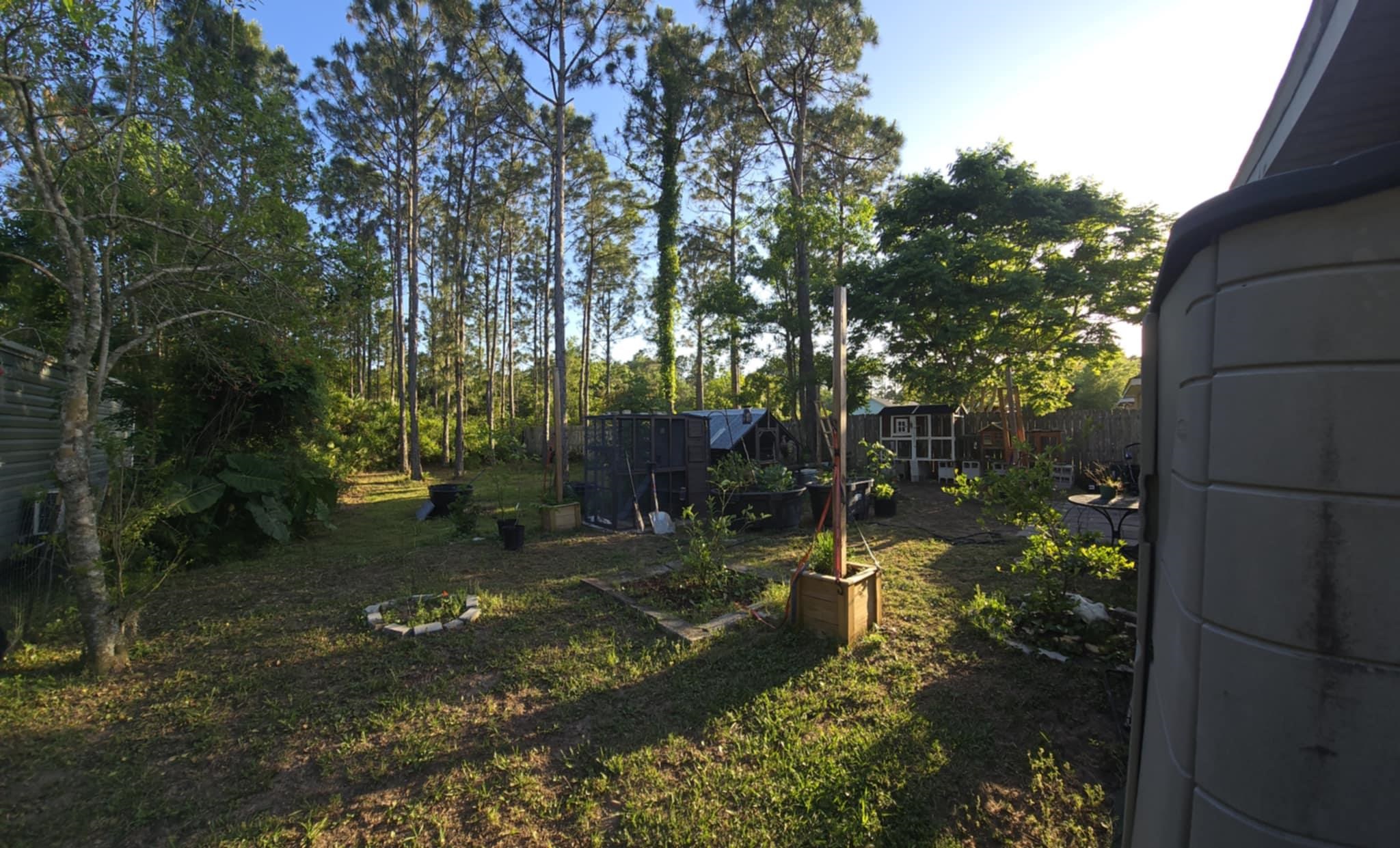 Image 26 of 29 For 921 Avery St