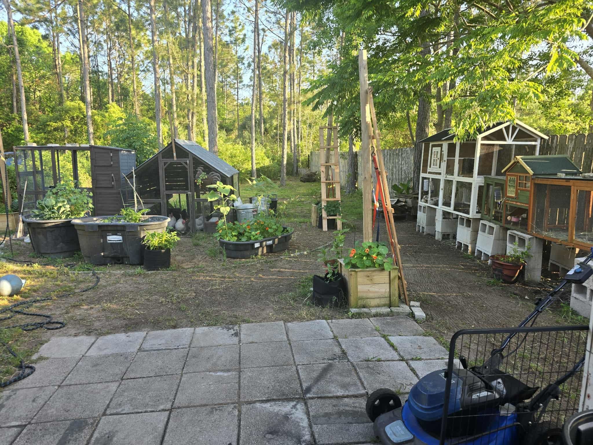 Image 5 of 29 For 921 Avery St