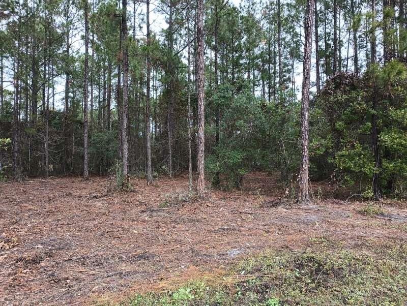 Image 23 of 24 For 4010 Melanie St