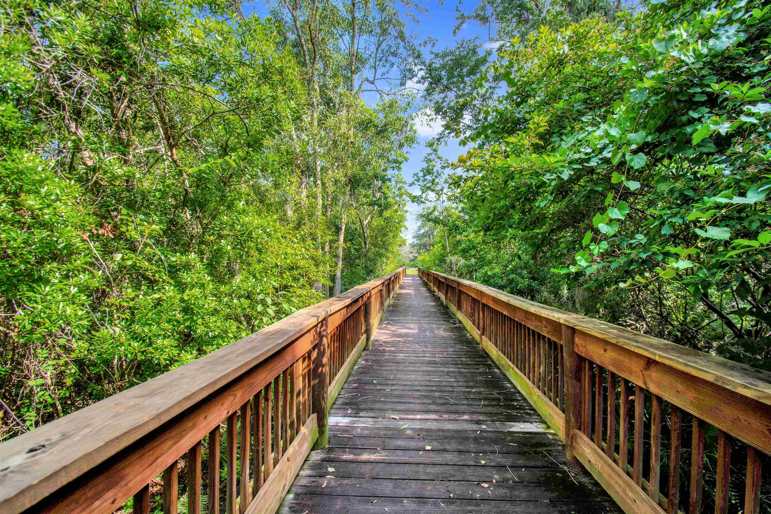 Image 26 of 31 For 136 Amistad Dr