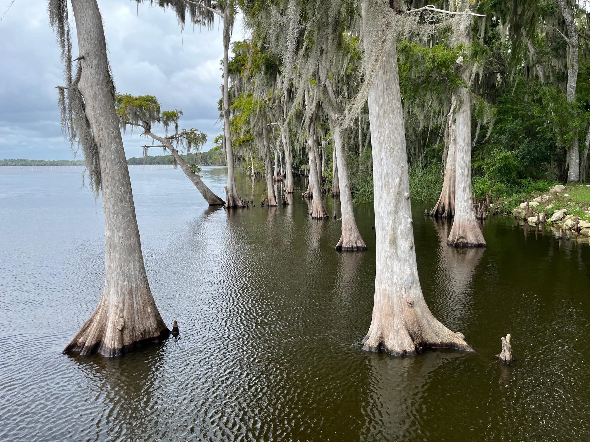 Image 2 of 5 For 120 July N 