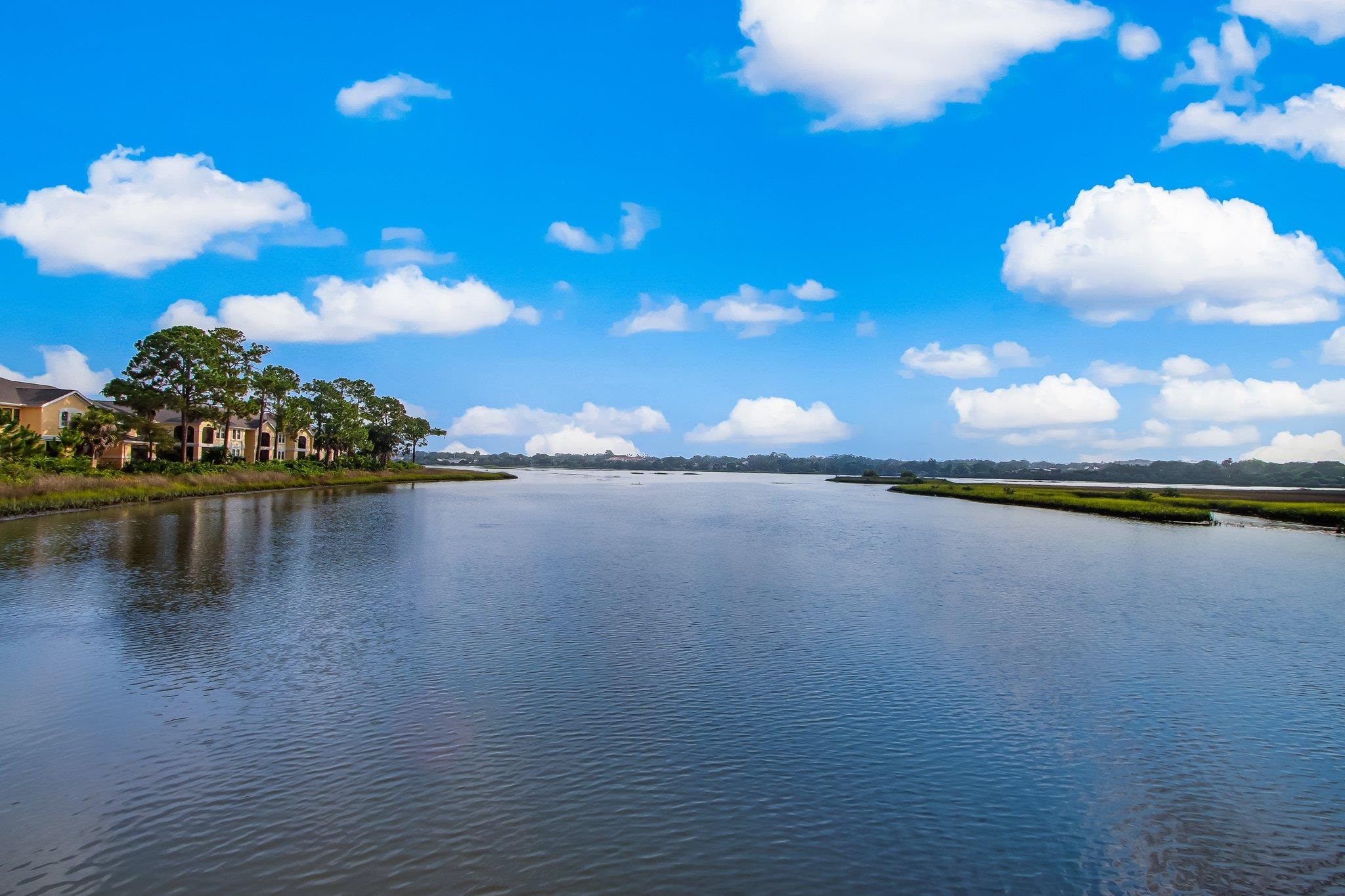 Image 51 of 76 For 1825 Vista Cove Rd