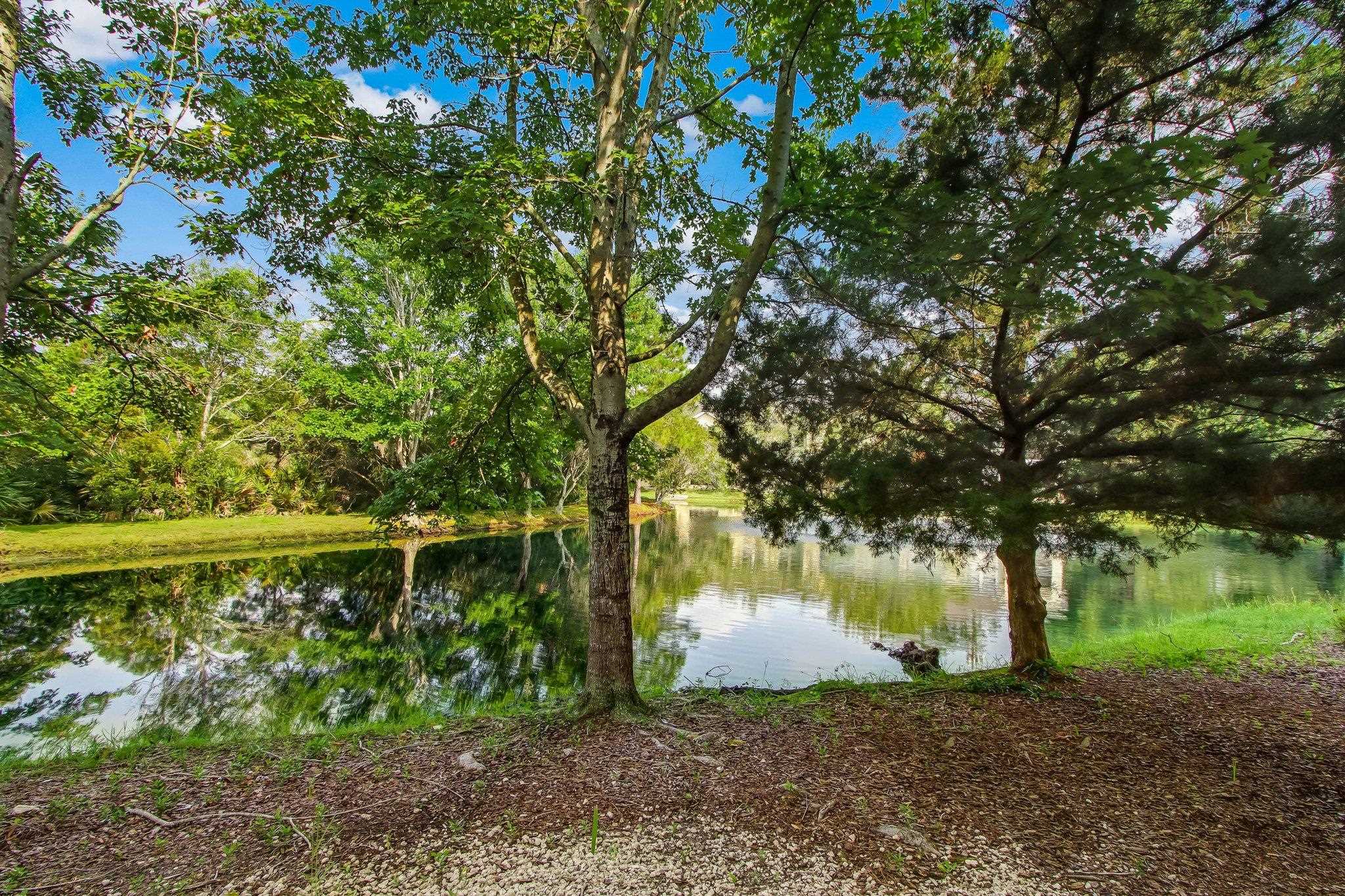 Image 57 of 76 For 1825 Vista Cove Rd