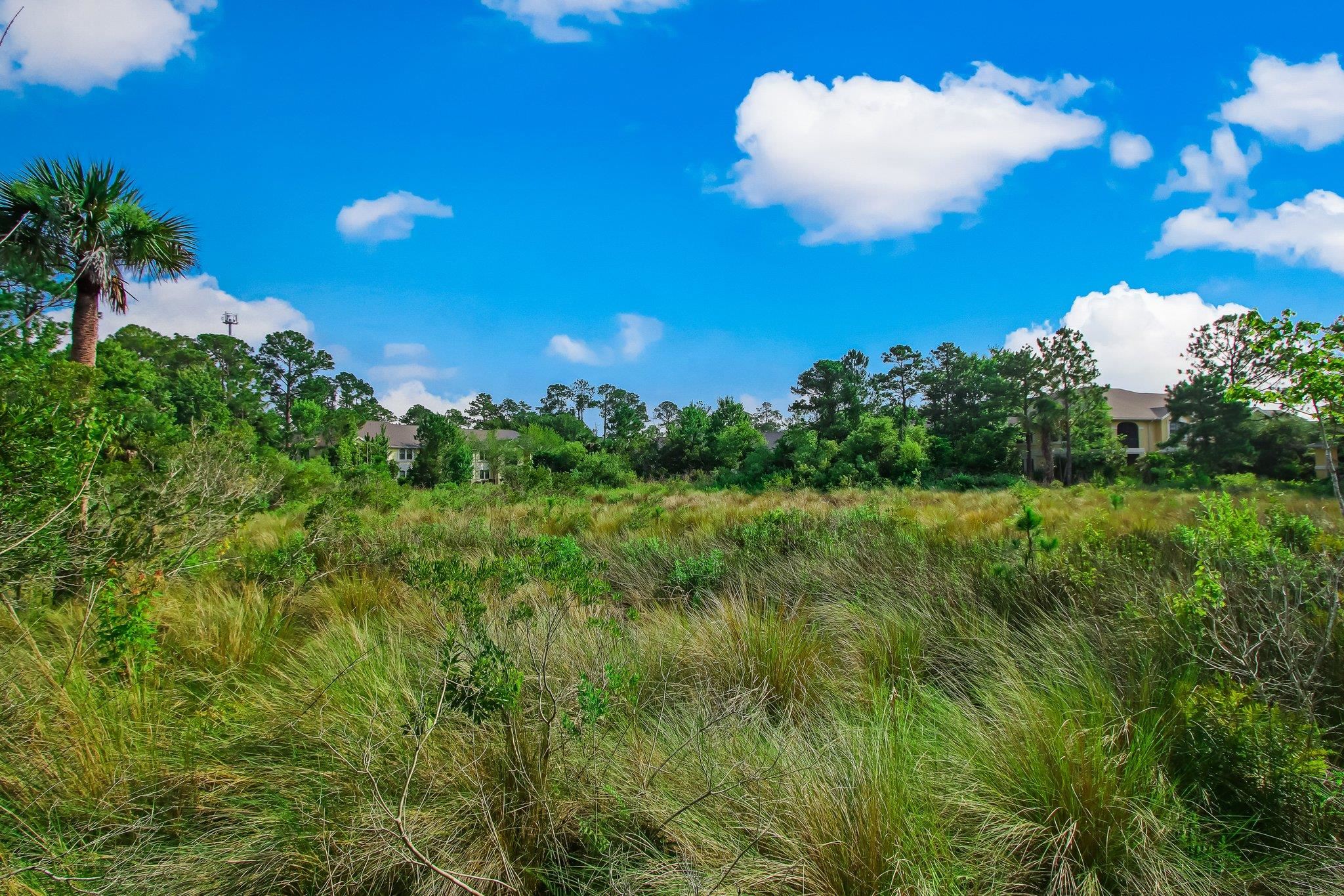 Image 59 of 76 For 1825 Vista Cove Rd