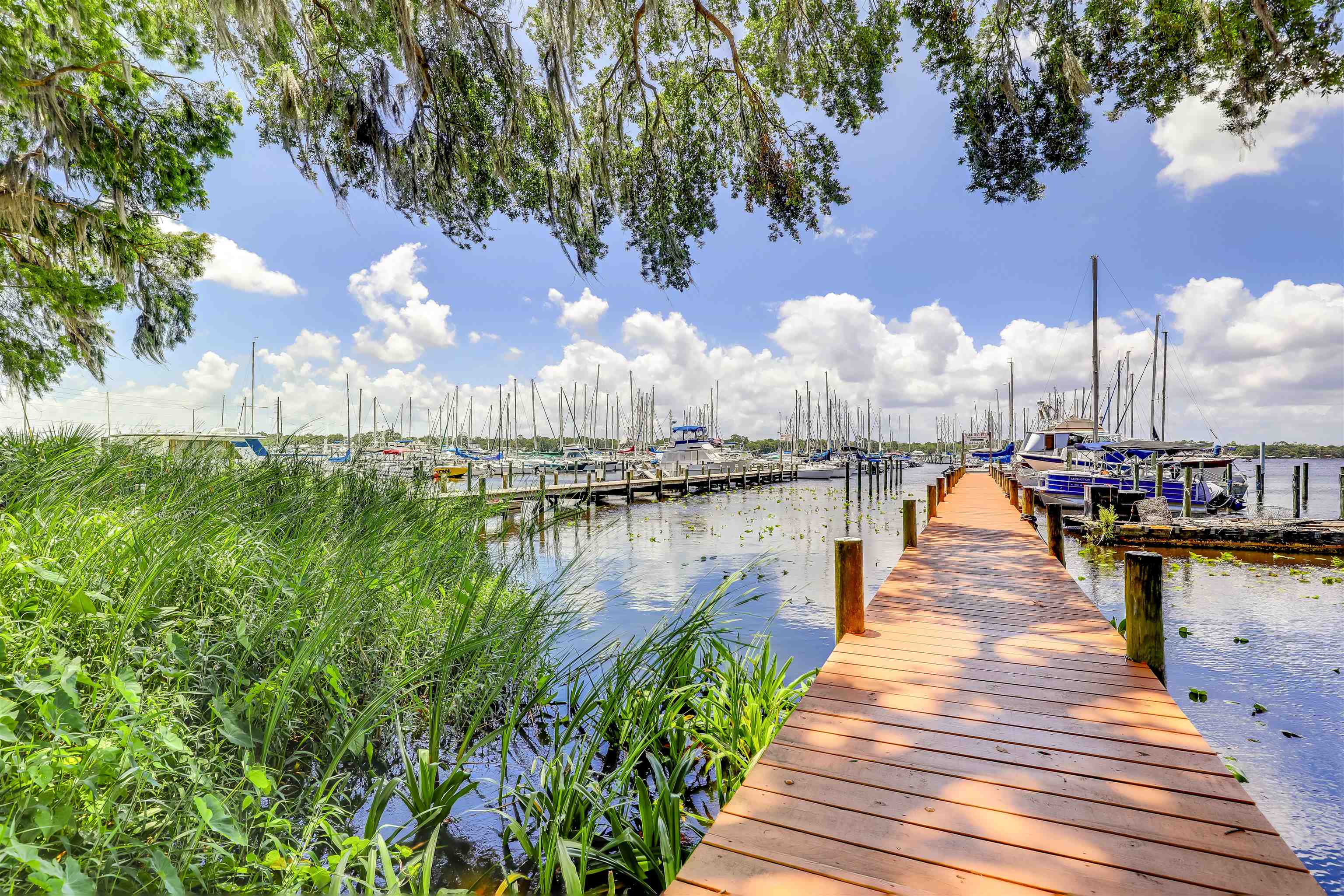 Image 62 of 69 For 1242 Cunningham Creek Dr