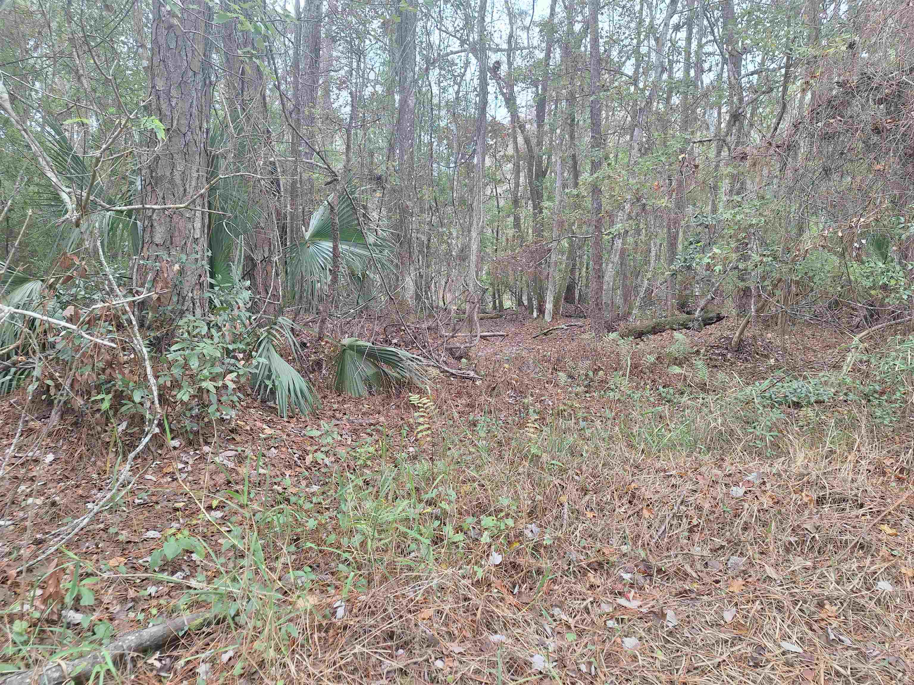 Image 4 of 11 For 159 Lakeway Dr