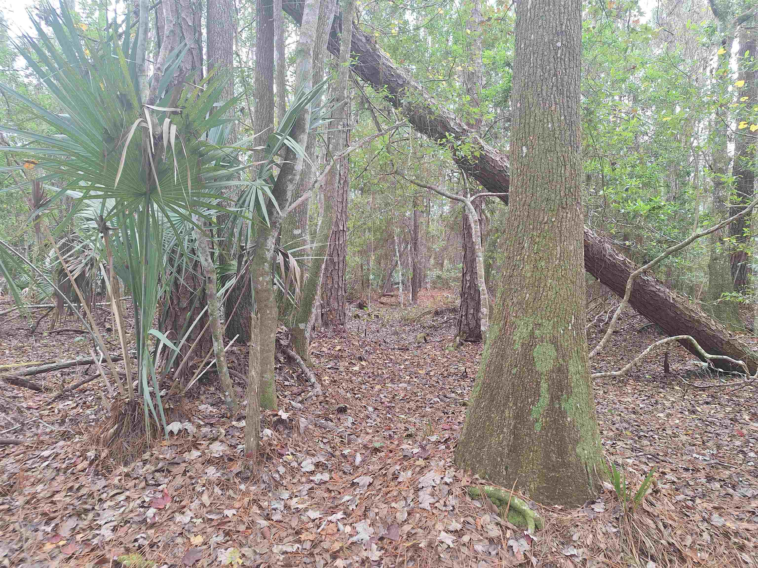 Image 6 of 11 For 159 Lakeway Dr