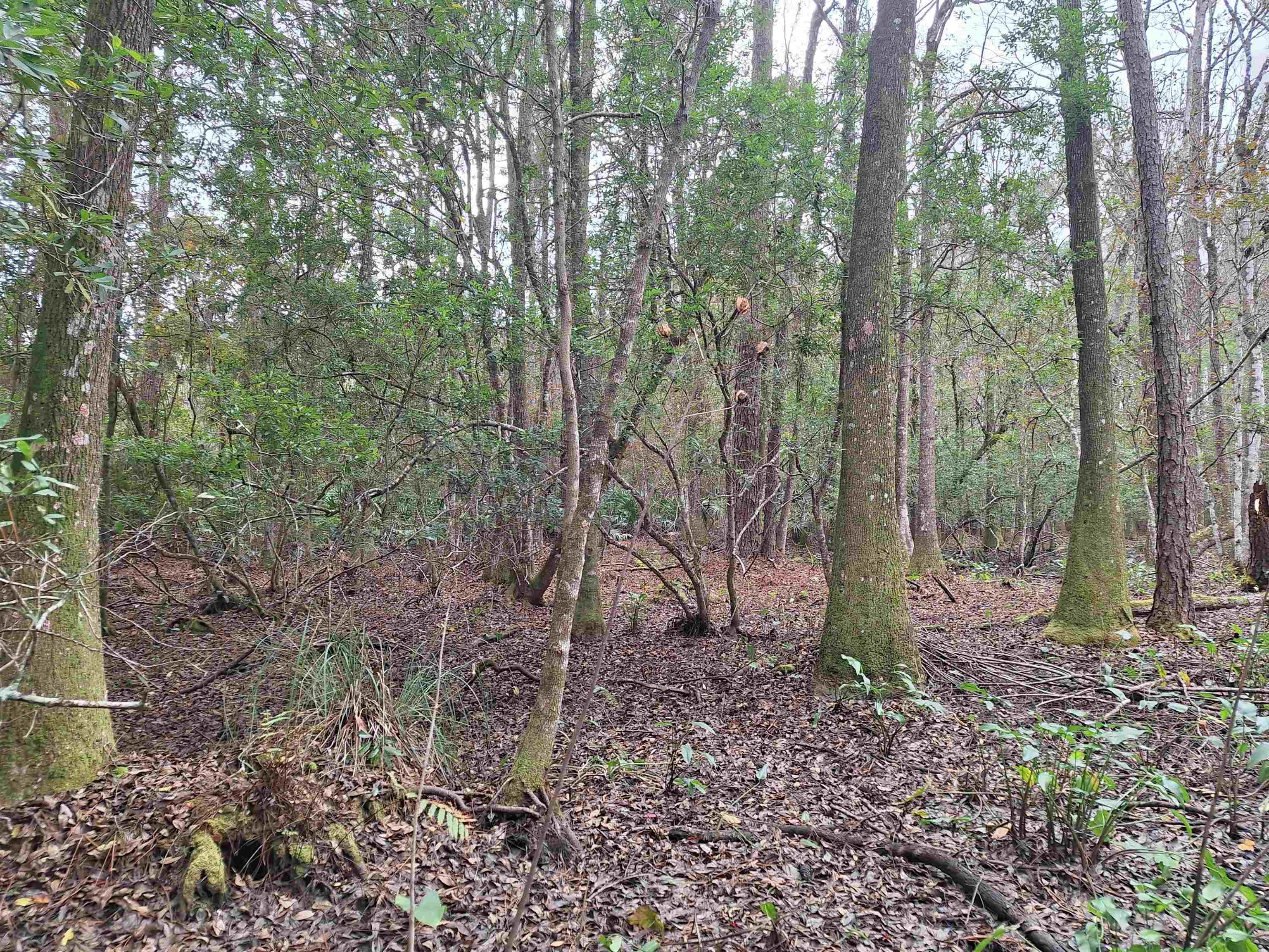 Image 8 of 11 For 159 Lakeway Dr