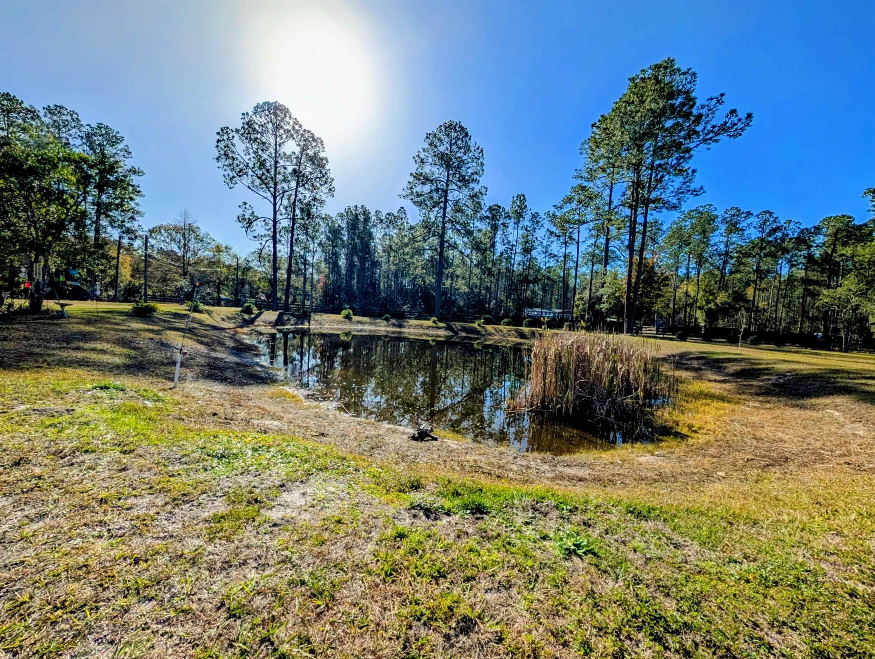 Details for 4350 Nancy St, Hastings, FL 32145