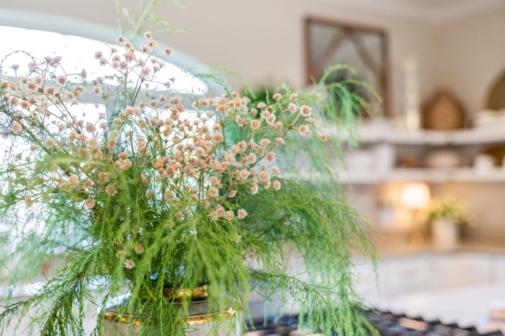 Image 31 of 100 For 215 Oglethorpe Blvd