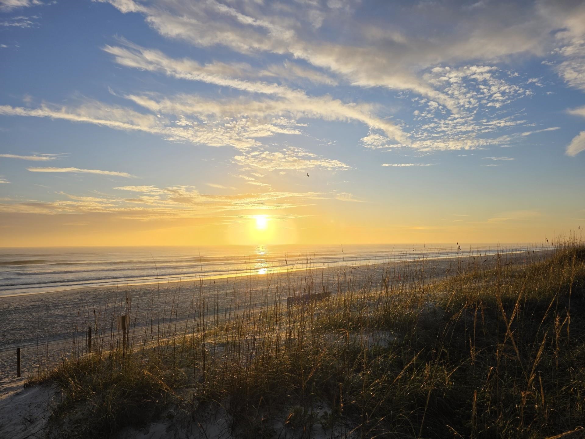 Image 4 of 44 For 1753 Castile Street