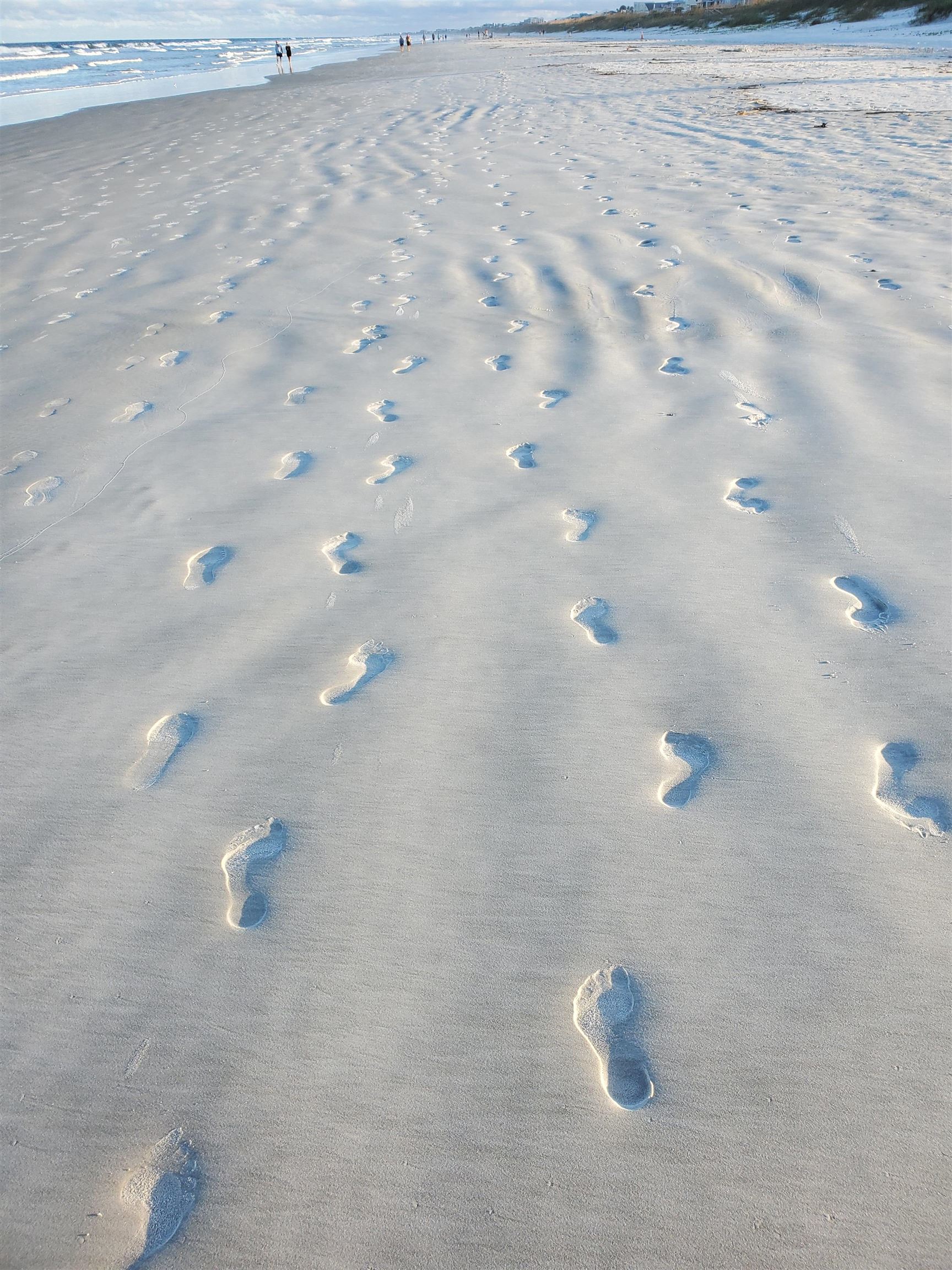 Image 43 of 44 For 1753 Castile Street