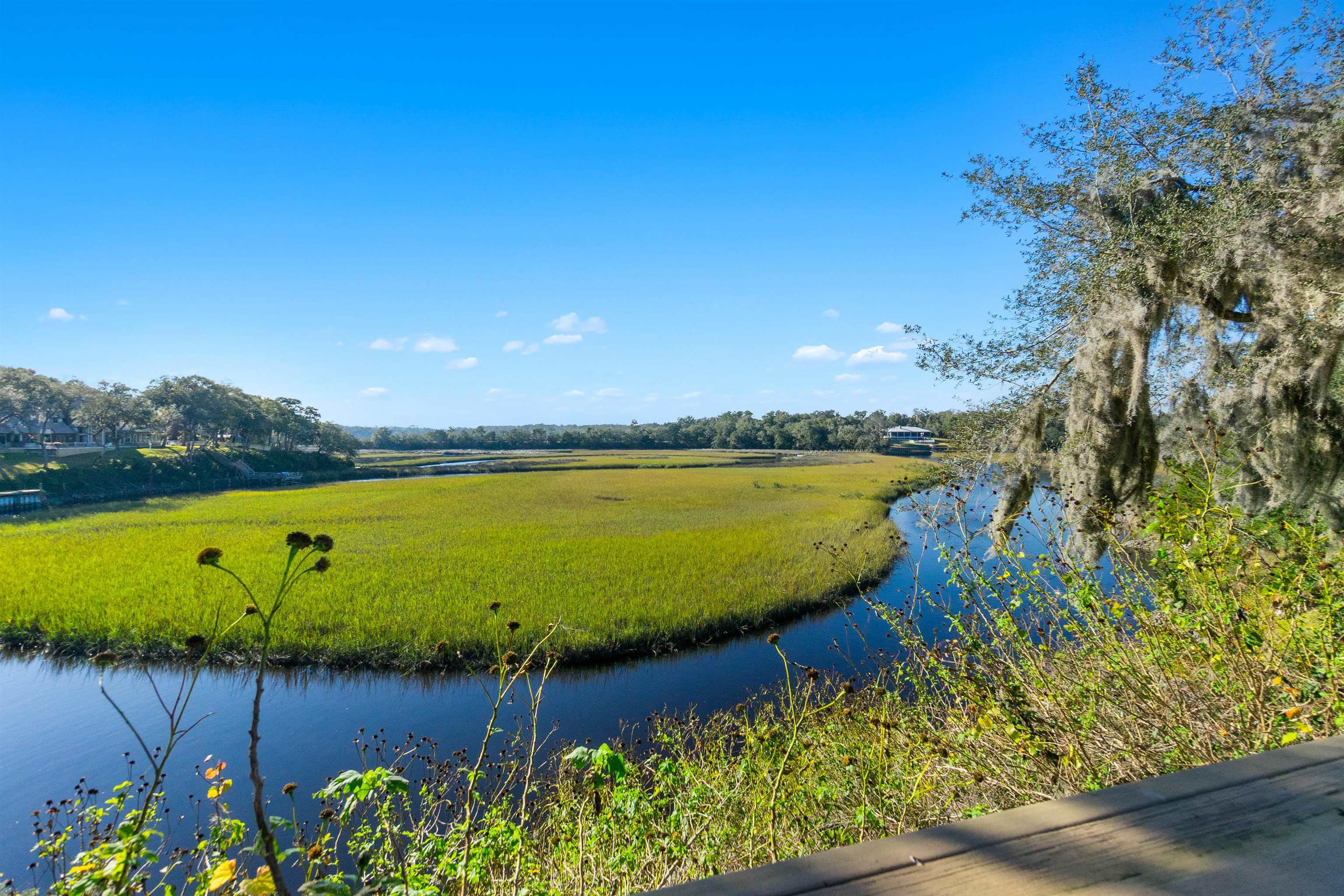 Image 50 of 66 For 160 Genung St W