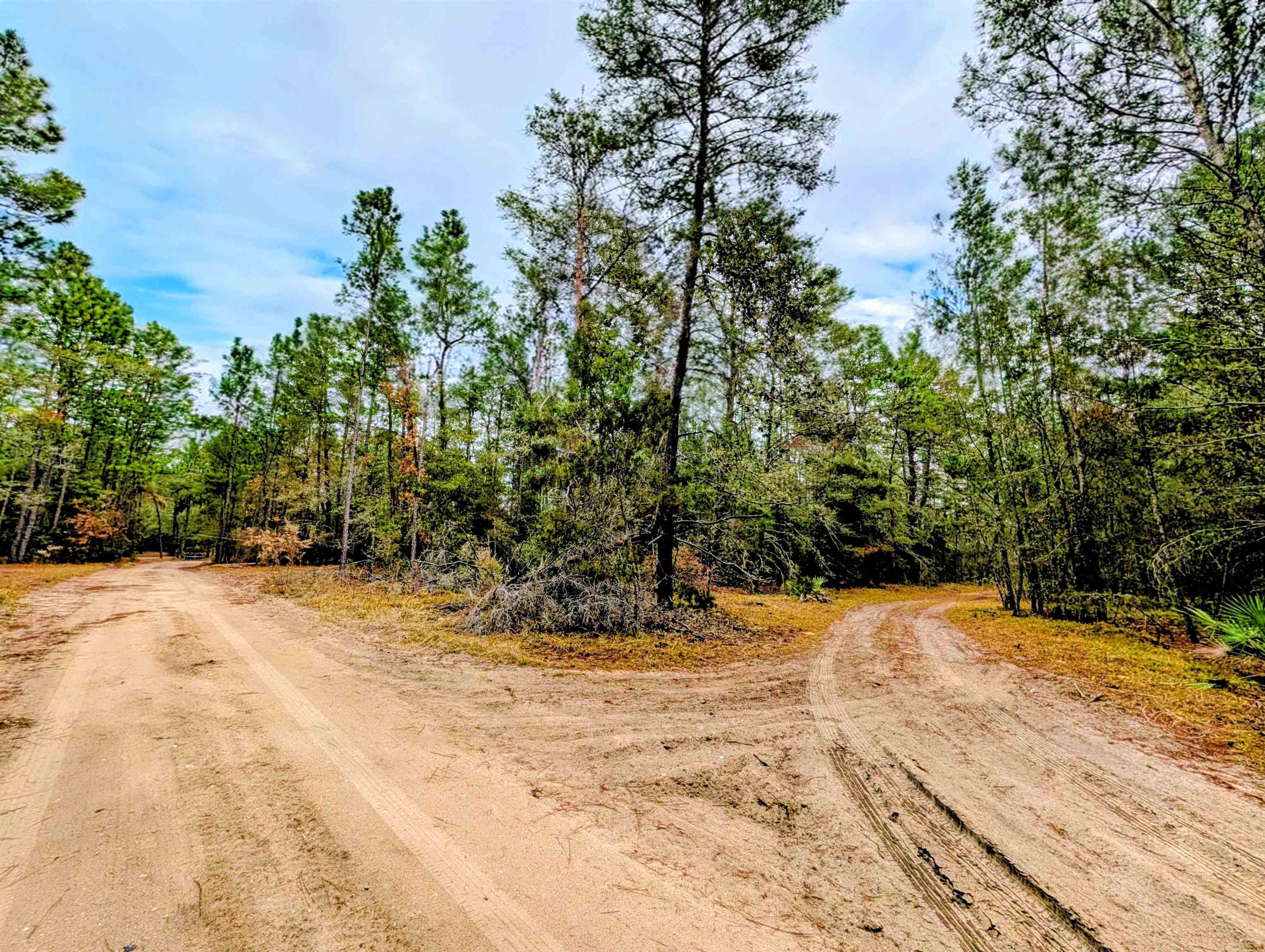 Listing Details for  Rosewood Rd  , Florahome, FL 32140