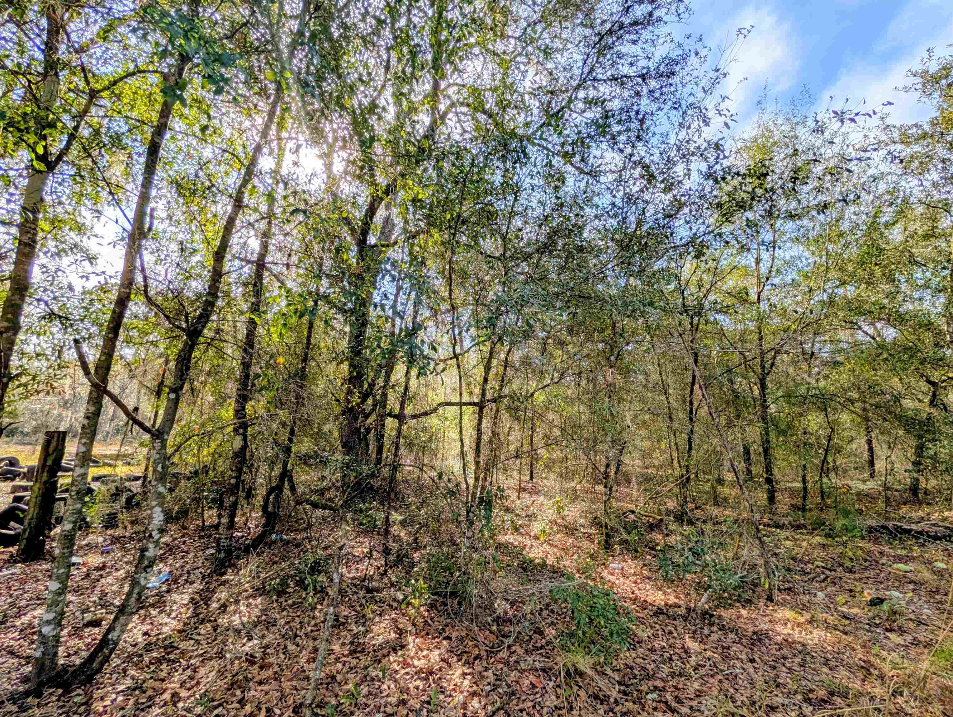 Listing Details for Tbd Cherry St, Interlachen, FL 32148