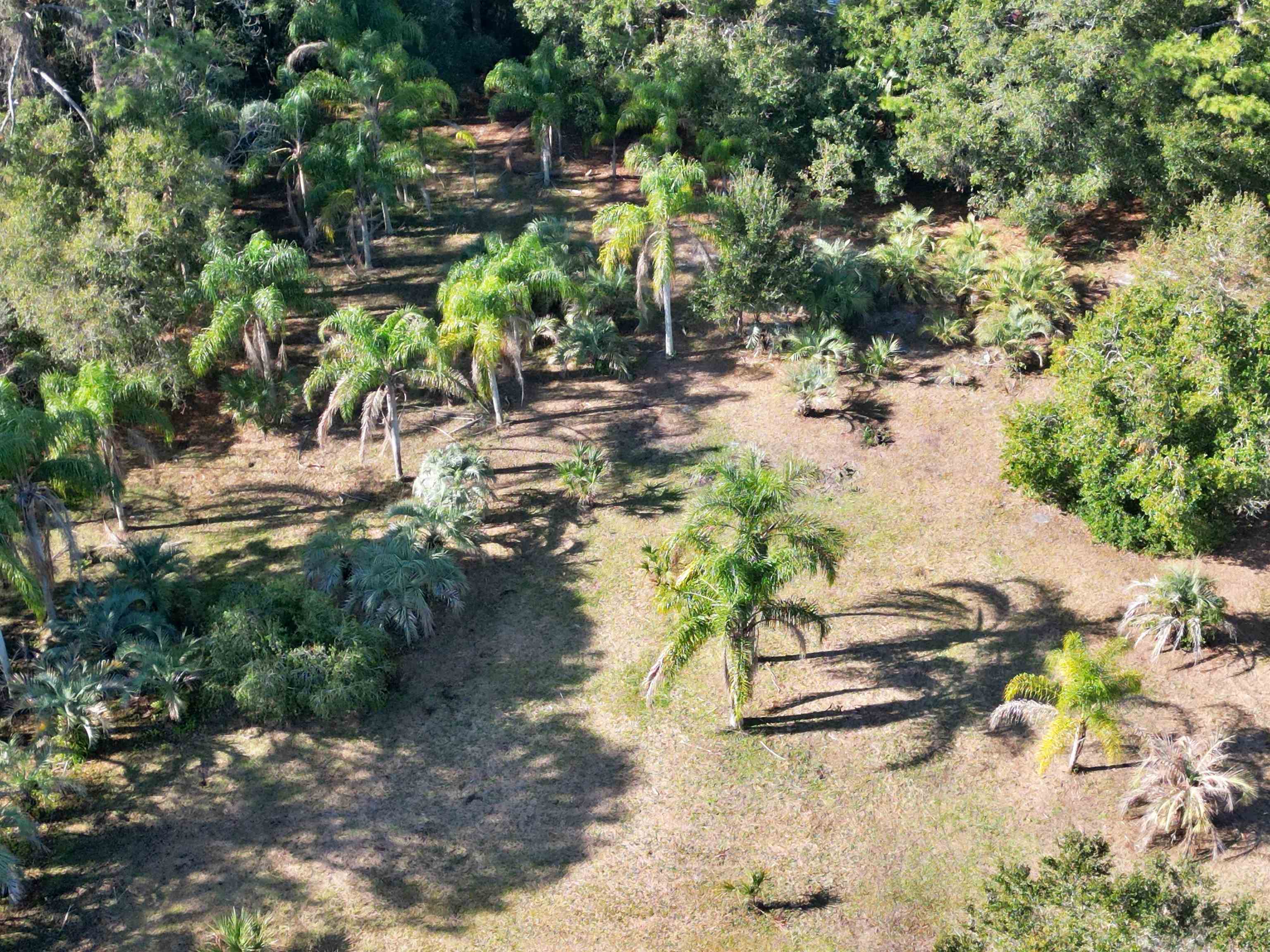 Image 10 of 11 For 0 S Avilla Ave