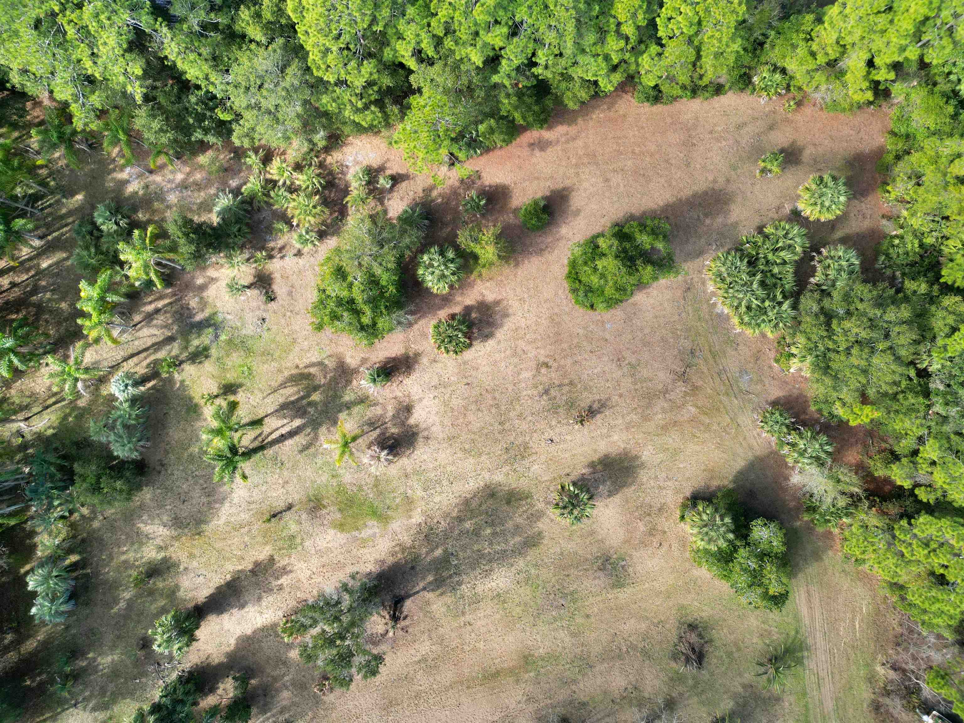 Image 8 of 11 For 0 S Avilla Ave