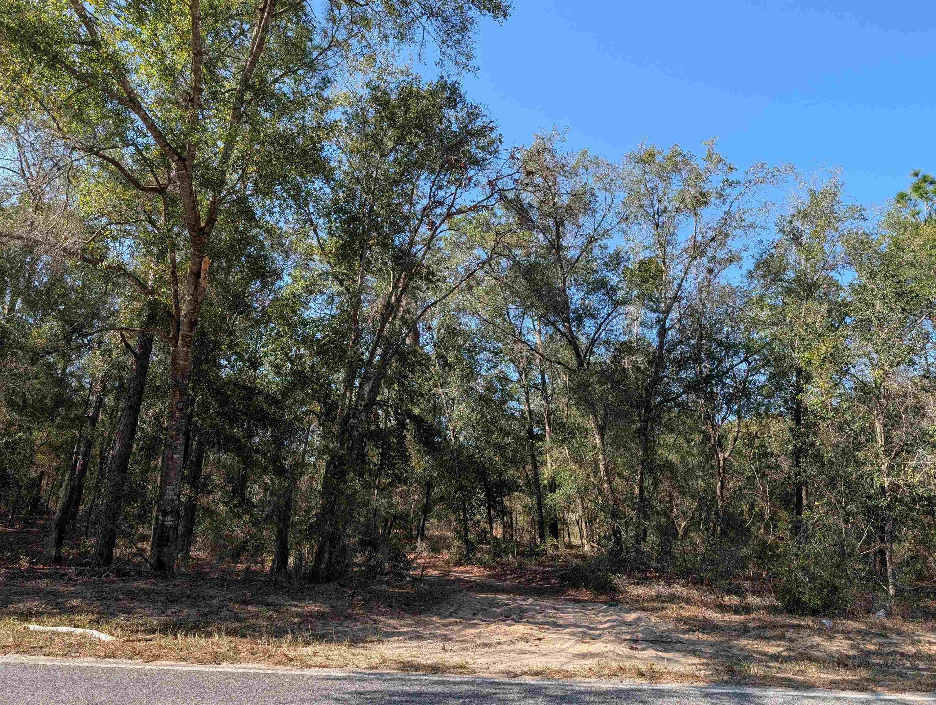 Listing Details for 475 Baden Powell Rd, Hawthorne, FL 32640