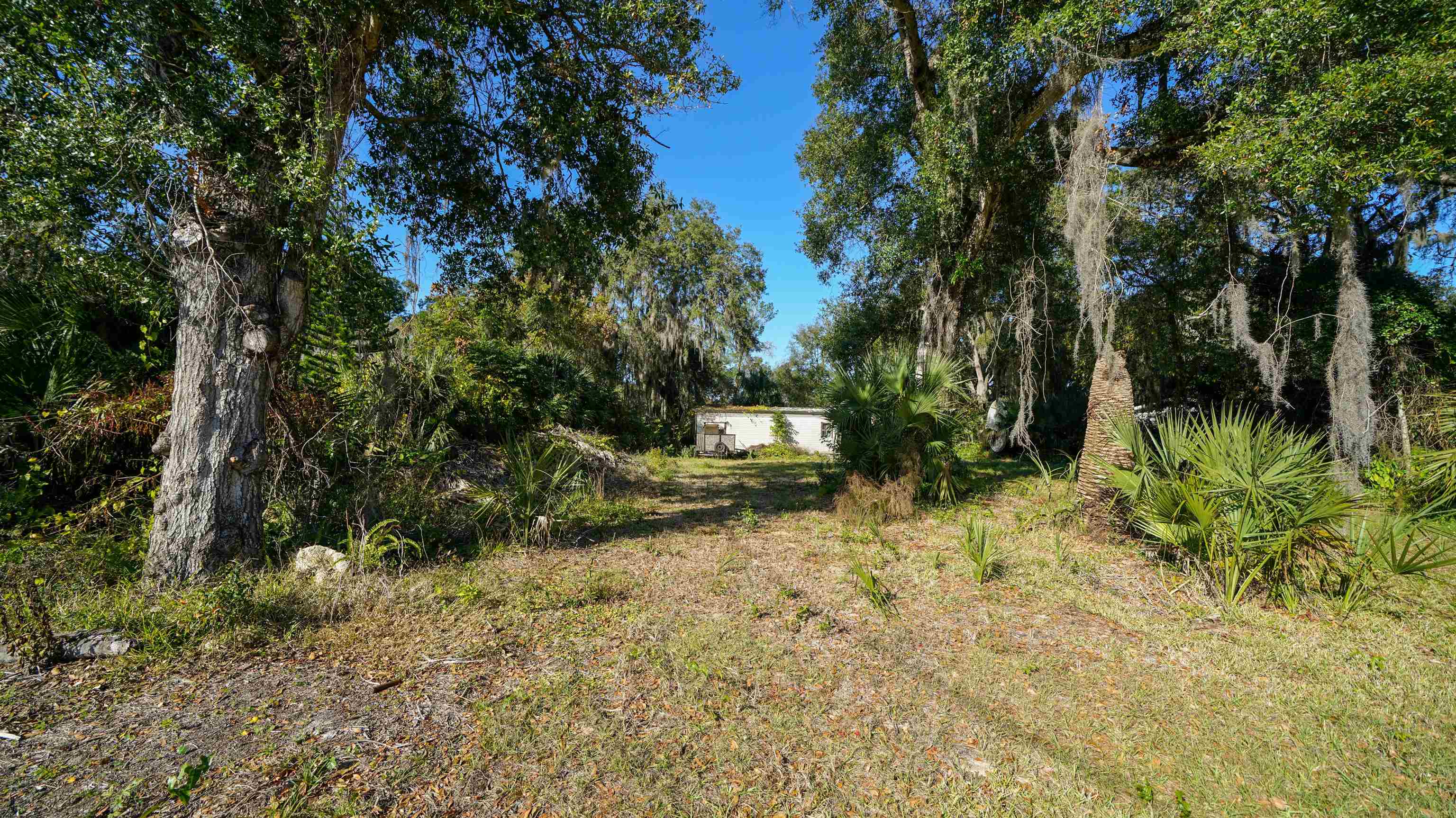 Image 7 of 13 For 8 Sycamore St